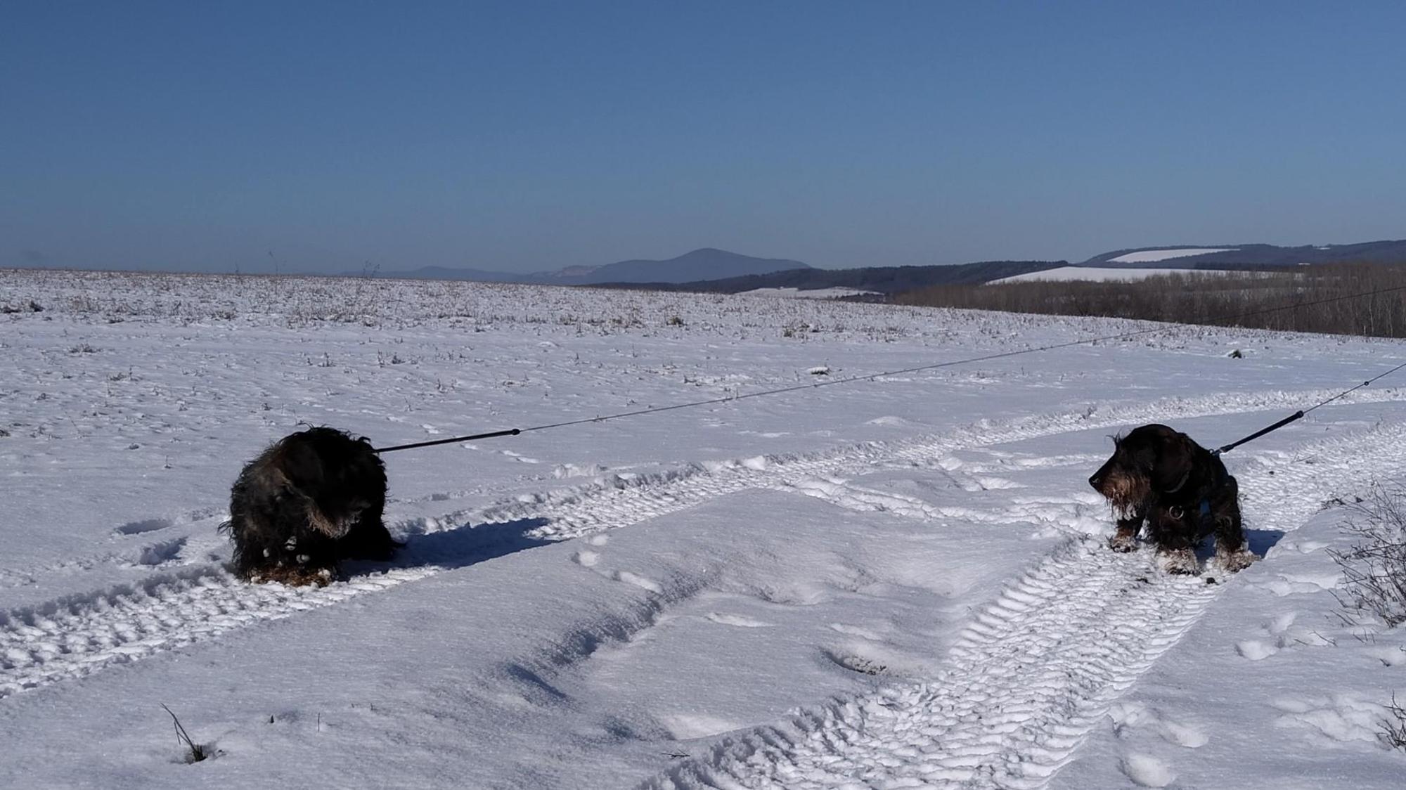 65abb8e7e4bfa20d4bcdbde9.jpg?width=2000&