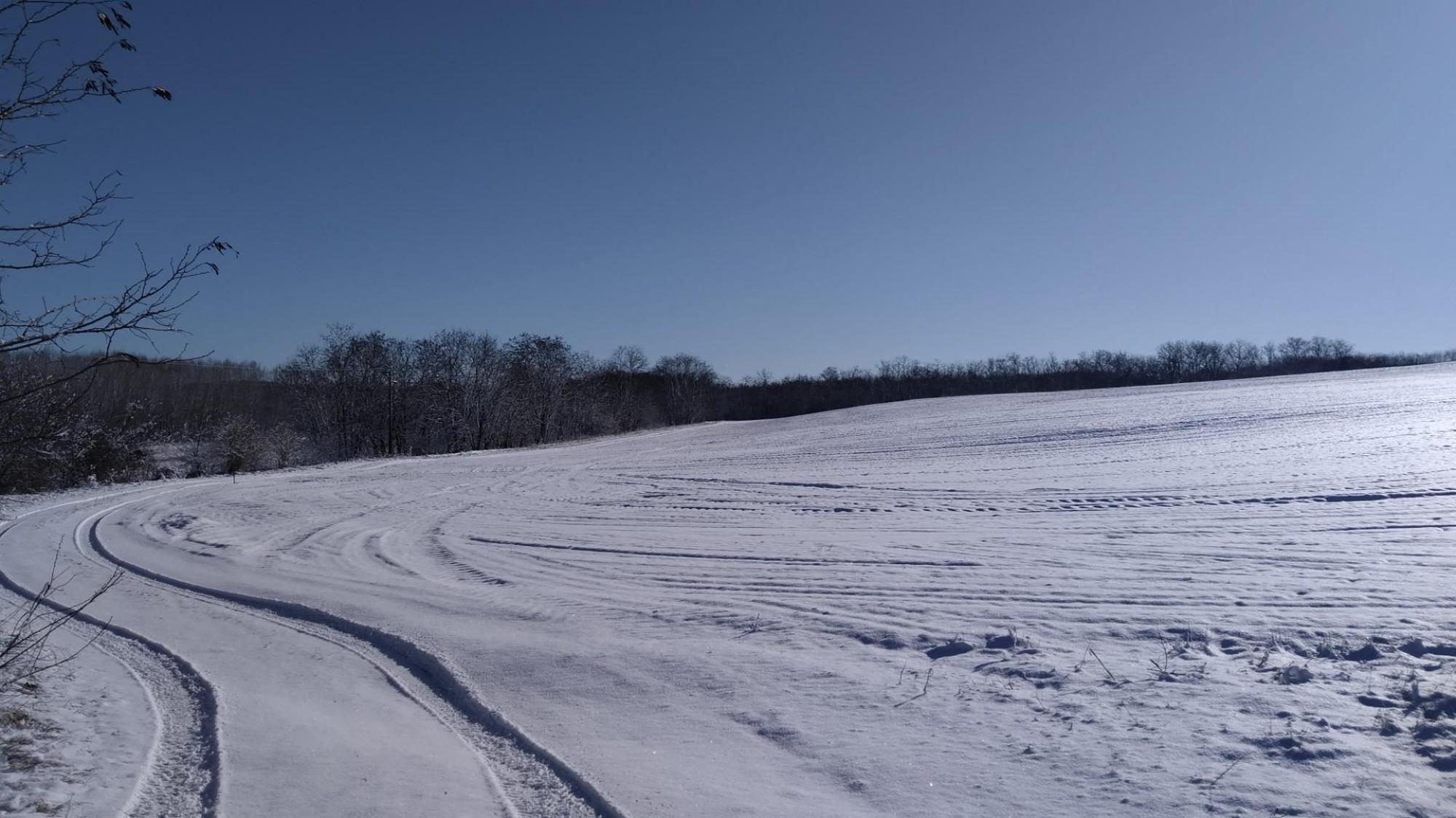 65abb8fed19c3f6998e0d93c.jpg?width=2000&