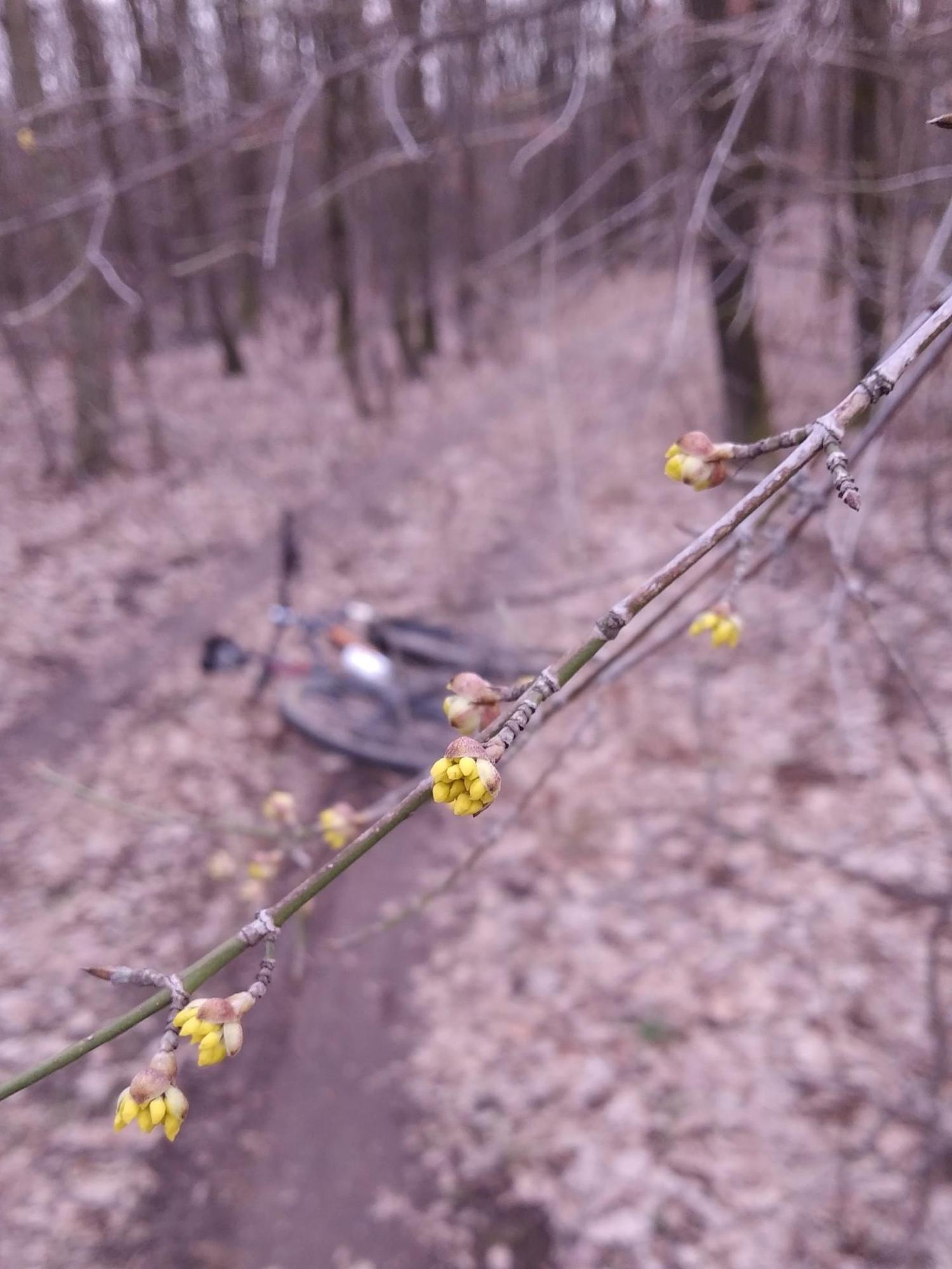 65d0c6728b469e1d7987805a.jpg?width=2000&