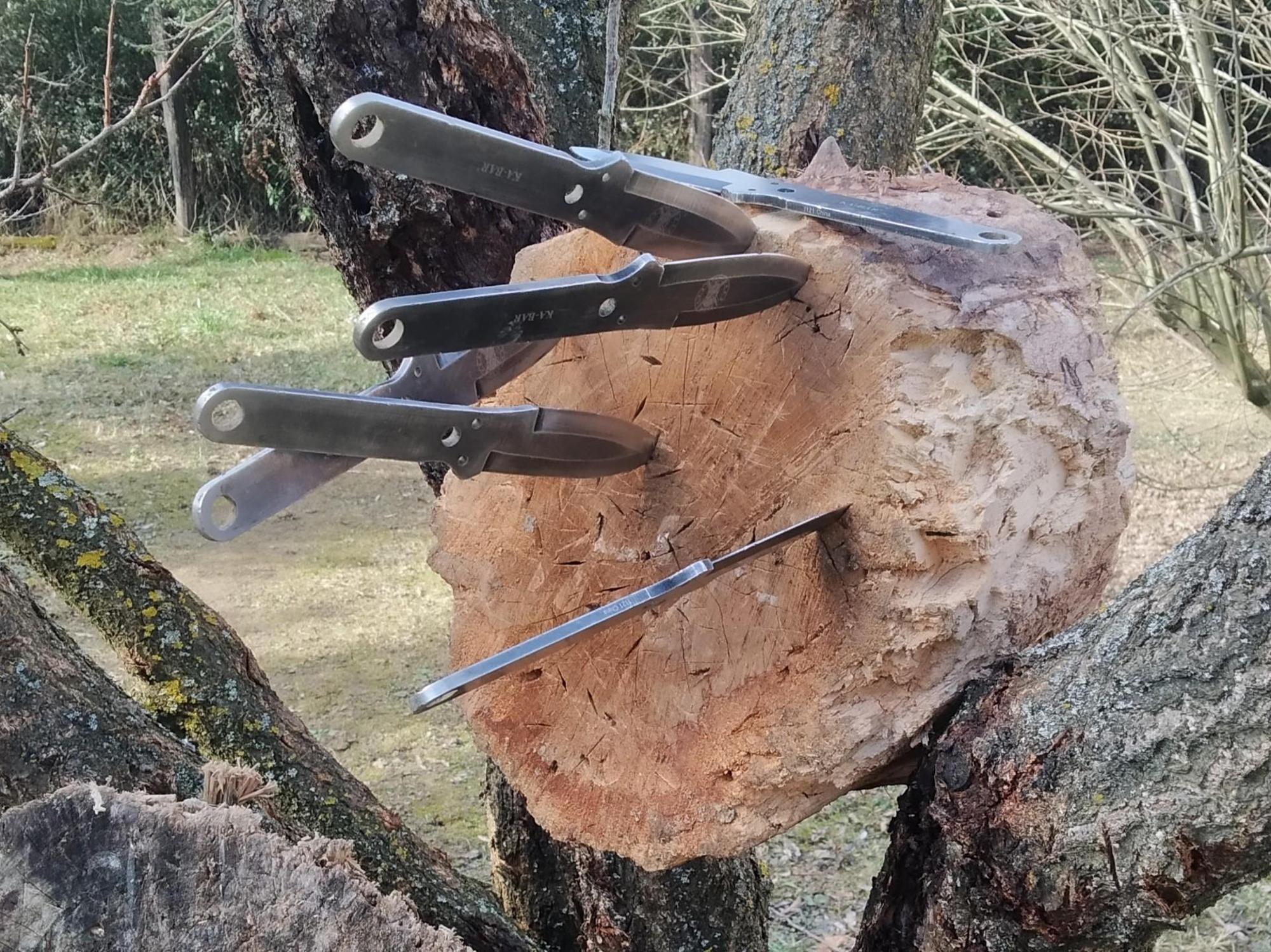 65d0c67d311fe6502917c103.jpg?width=2000&