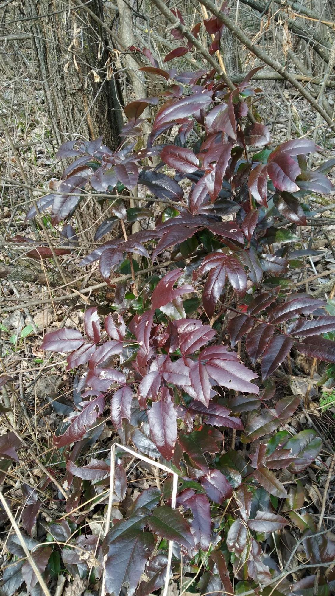 65d0c67fa28cb116a7184098.jpg?width=2000&