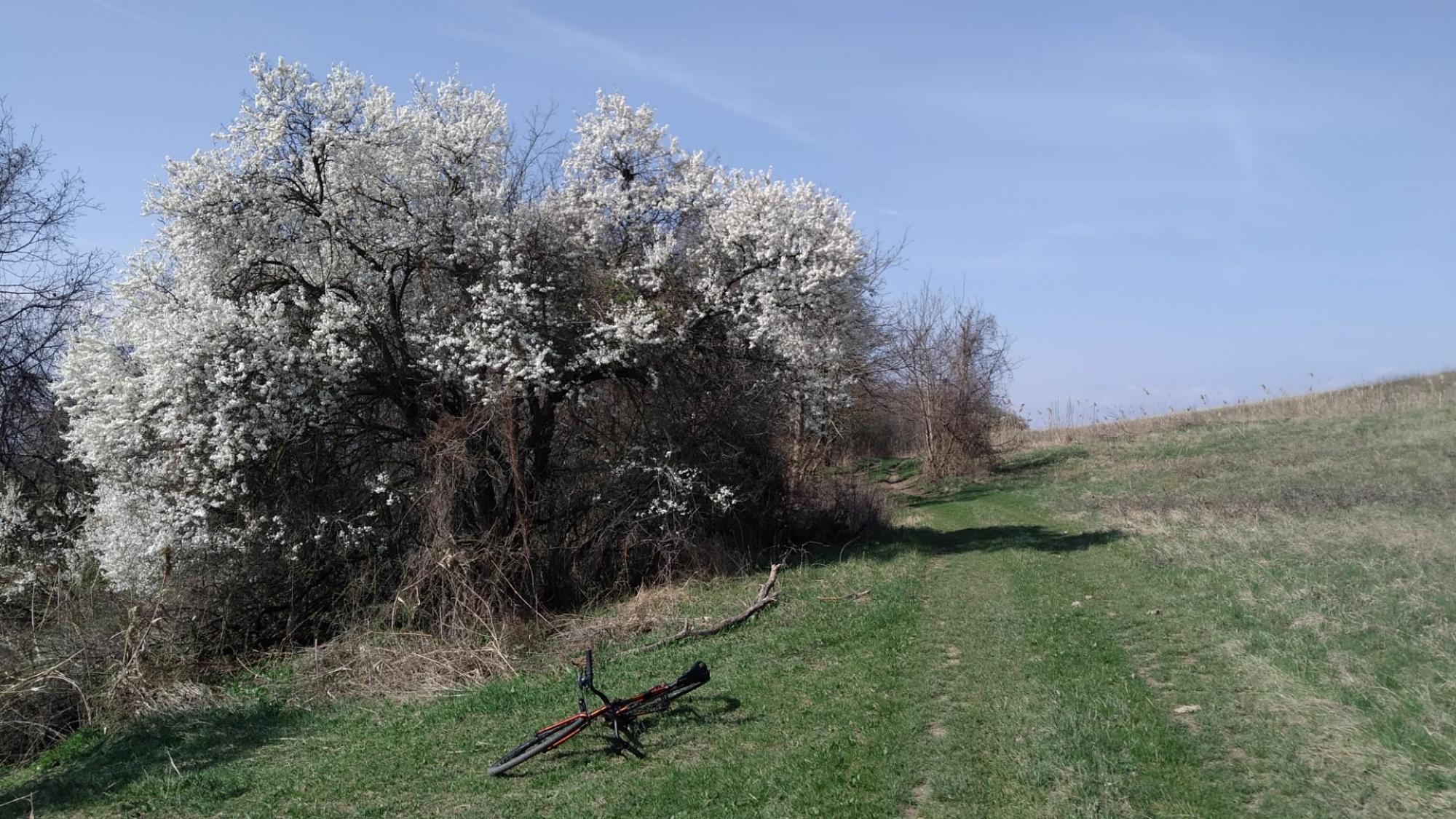 65f429e1878c5b1308789c11.jpg?width=2000&