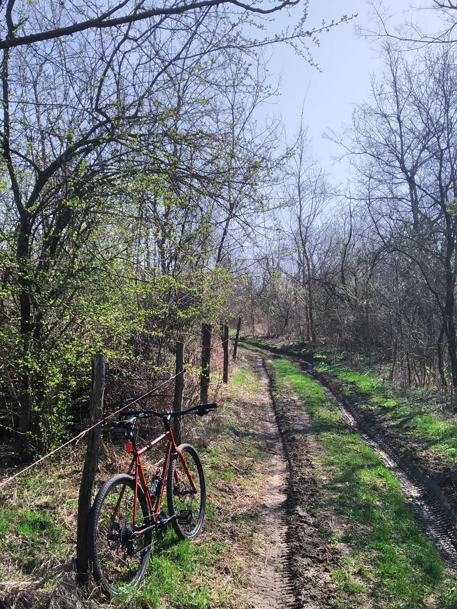 65f44676182d2131ea56aece.jpg?width=2000&