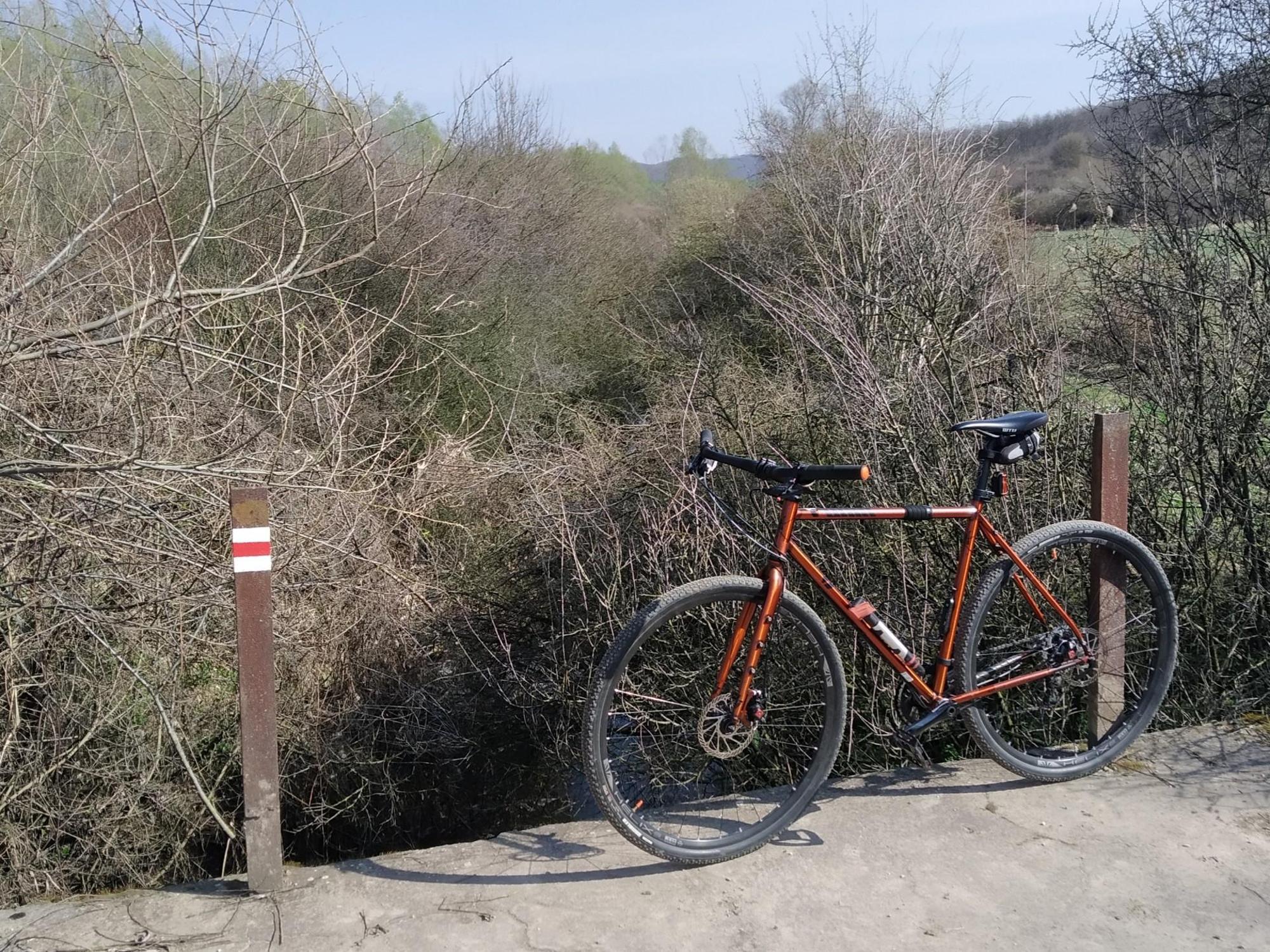 65f446c9eec28121e7d5f03e.jpg?width=2000&