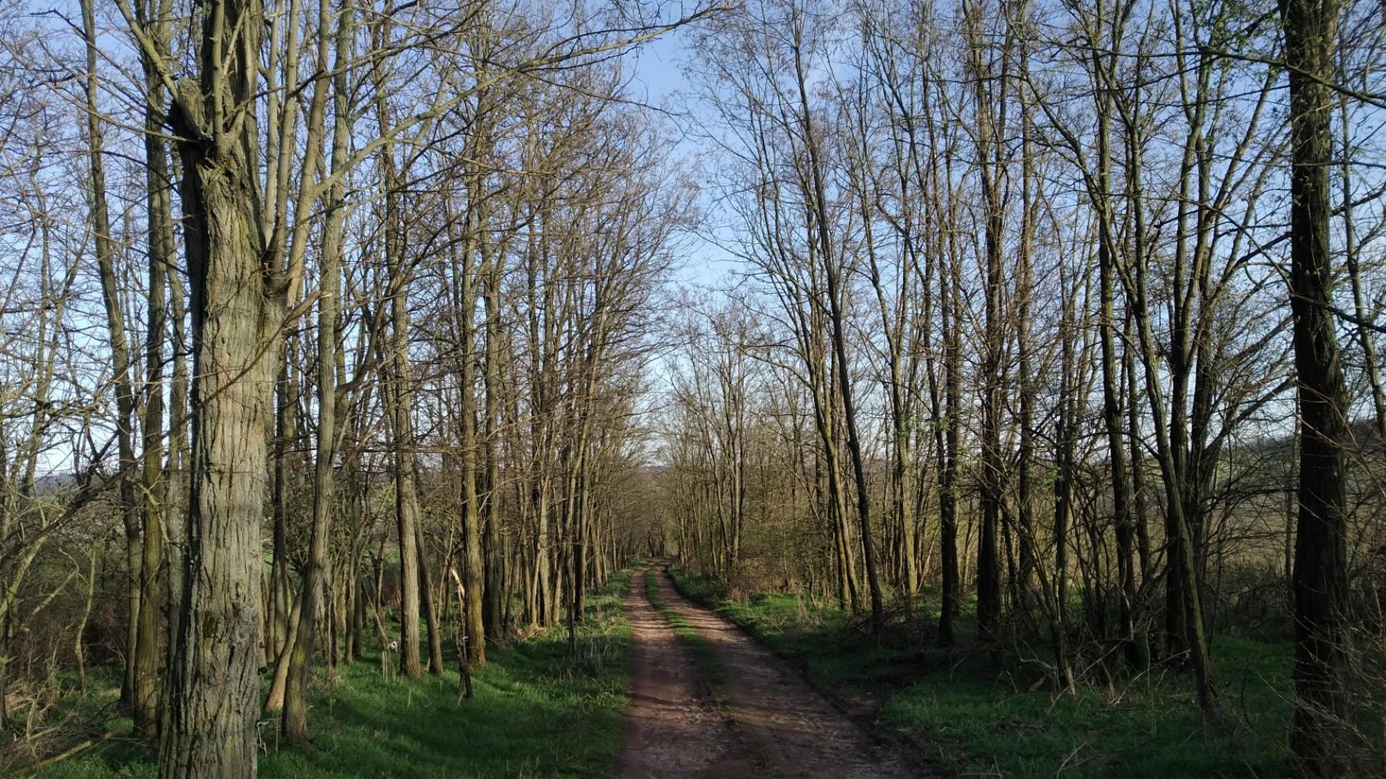 65f7188155183472982f35ac.jpg?width=2000&