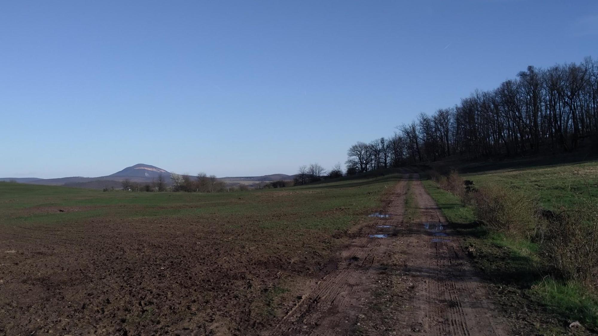 65f718828596422a2653a211.jpg?width=2000&