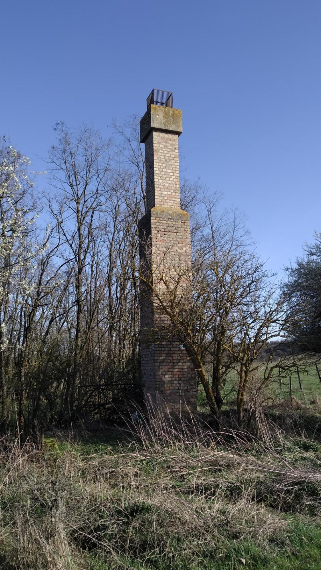 65f718838418867d7a9a9deb.jpg?width=2000&