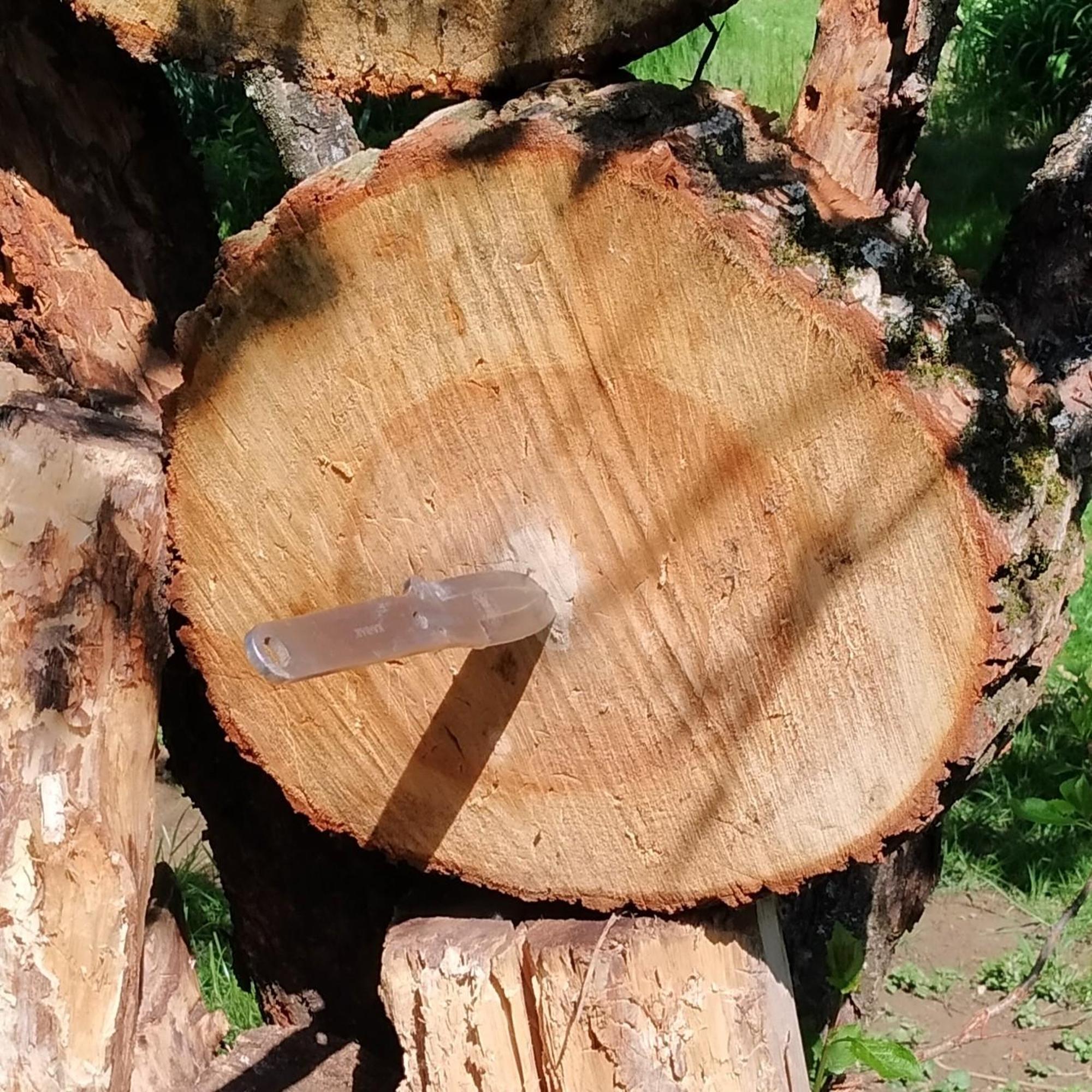 662a9814b327d86c071834af.jpg?width=2000&