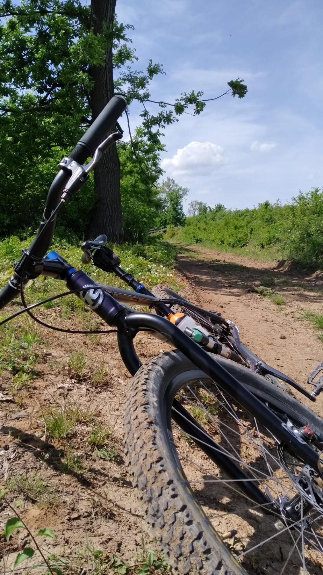 662e38a2d420ff15b9ccaab6.jpg?width=2000&