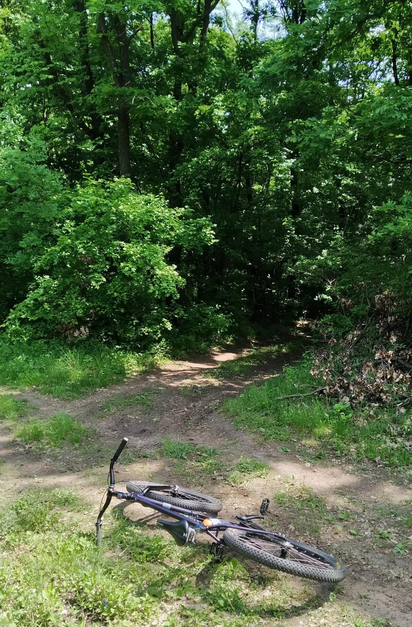 662e92dd2e02366725641219.jpg?width=2000&