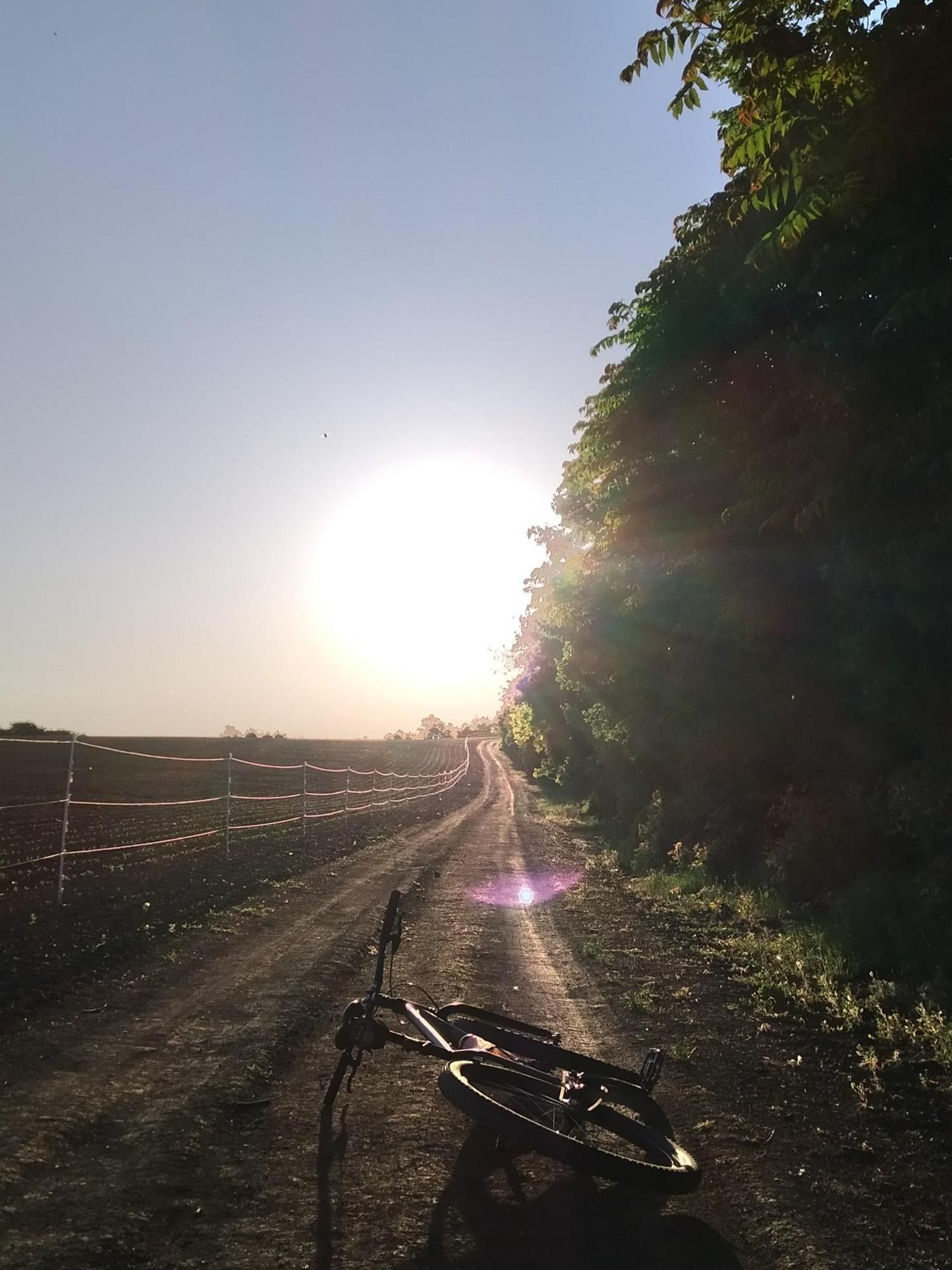 66312f4648754e67377047c2.jpg?width=2000&