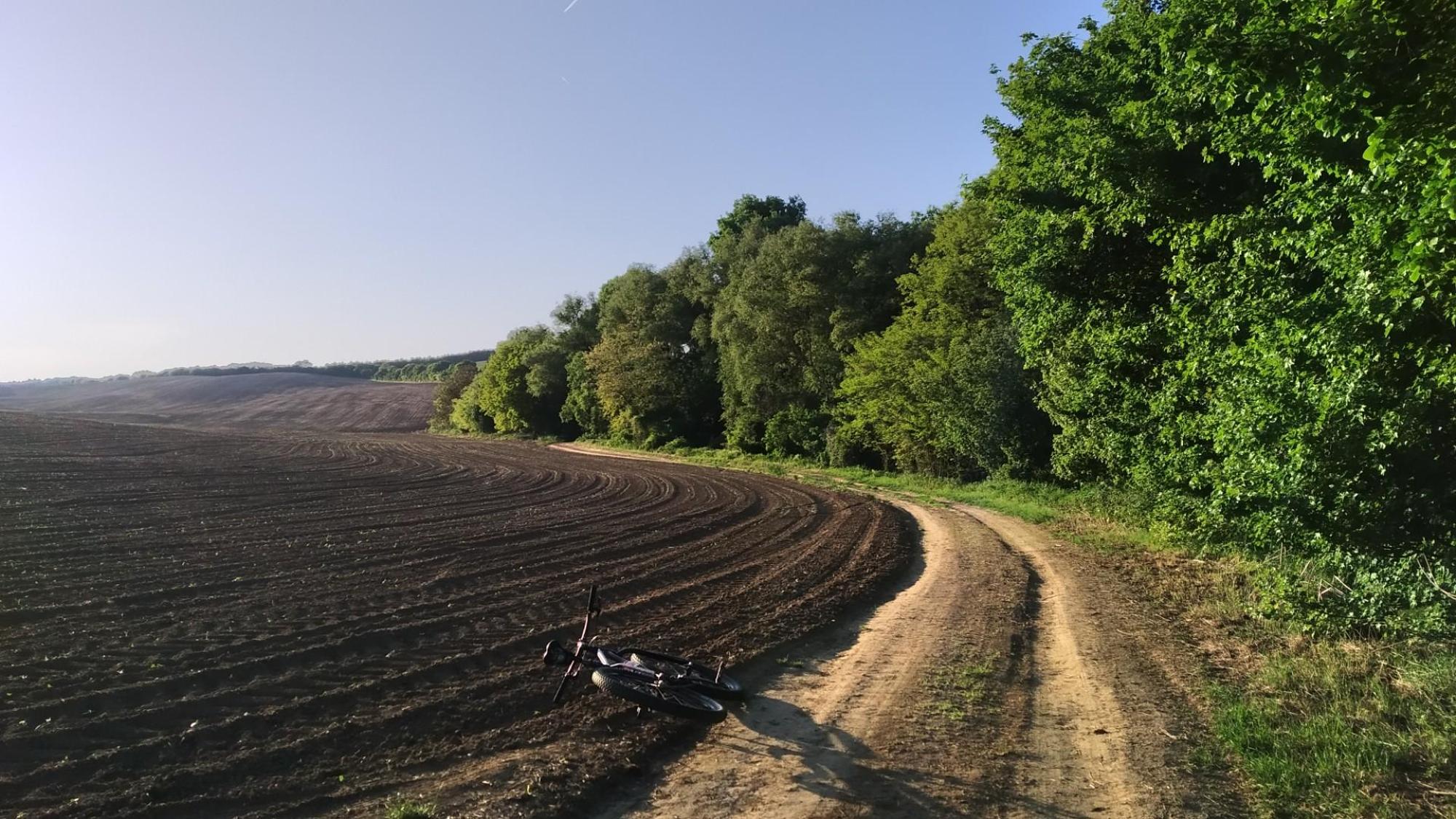 66312f4aa1f7c65f77cfc4d8.jpg?width=2000&