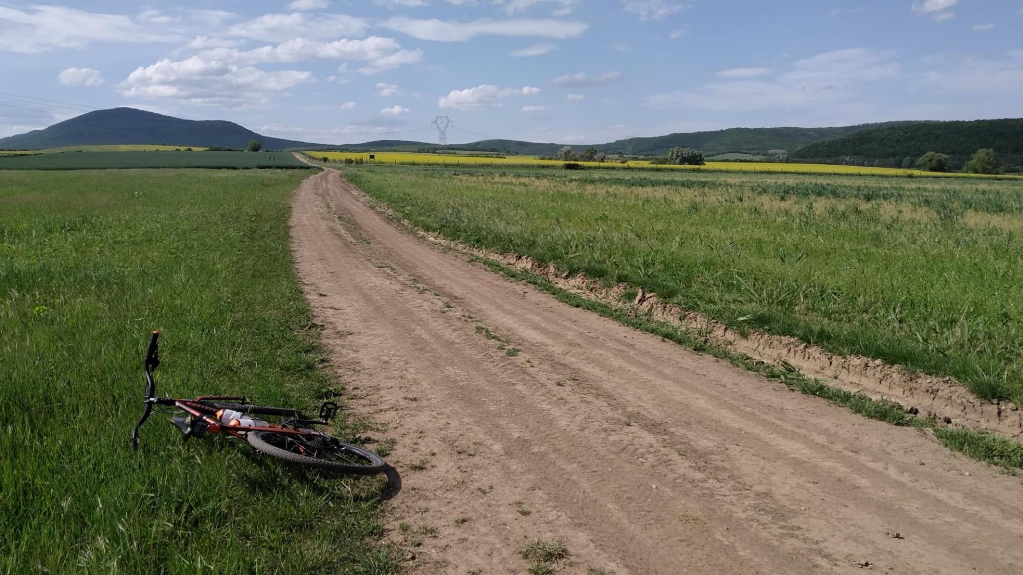 6632657f7d6b434a587575ed.jpg?width=2000&