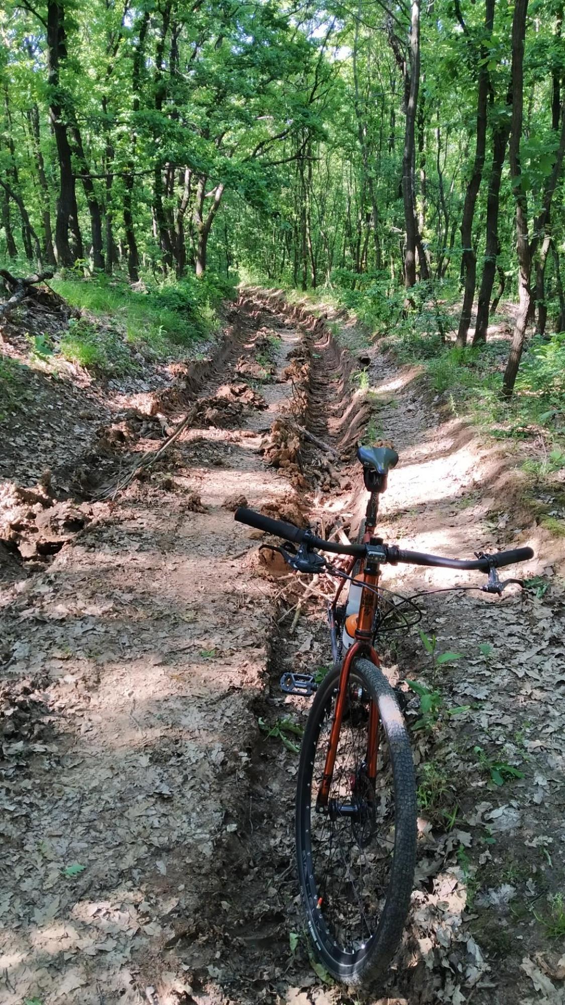 66326586653cd43dc4c70587.jpg?width=2000&