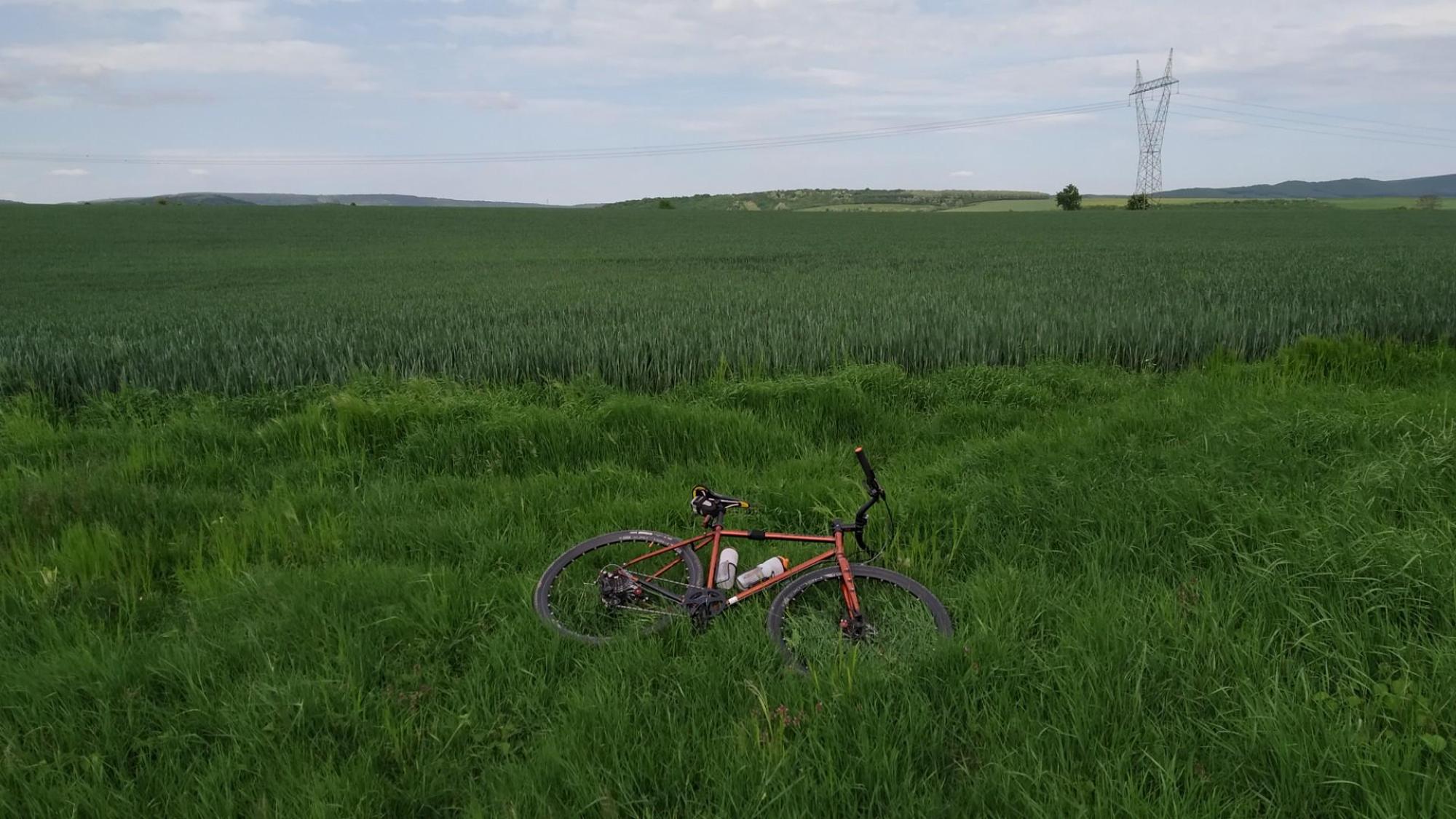 6632658b4fb4ee51716a1f3f.jpg?width=2000&