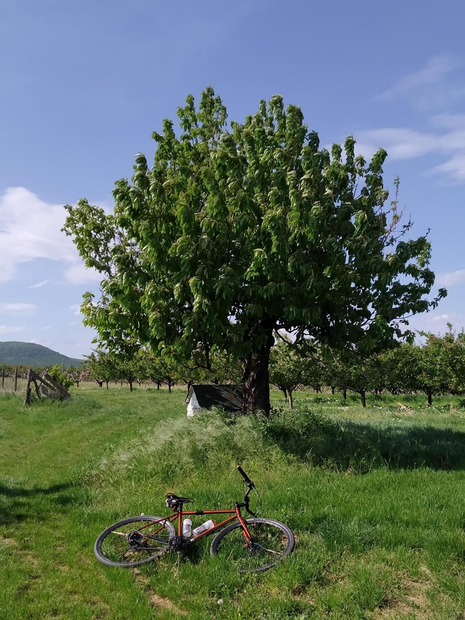 6632658f3178243785f2a4ce.jpg?width=2000&