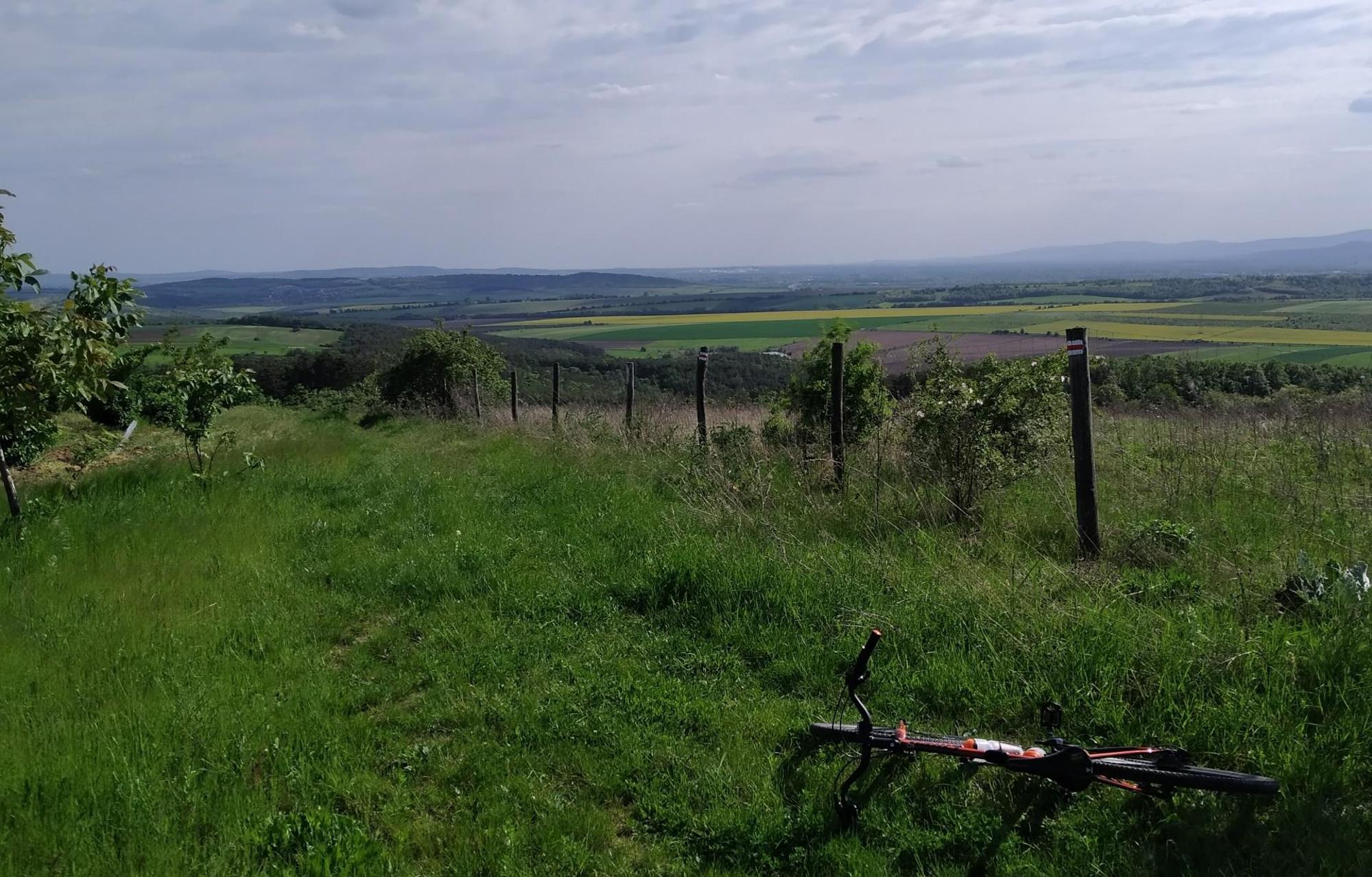 663265914fb4ee51716a1fc6.jpg?width=2000&