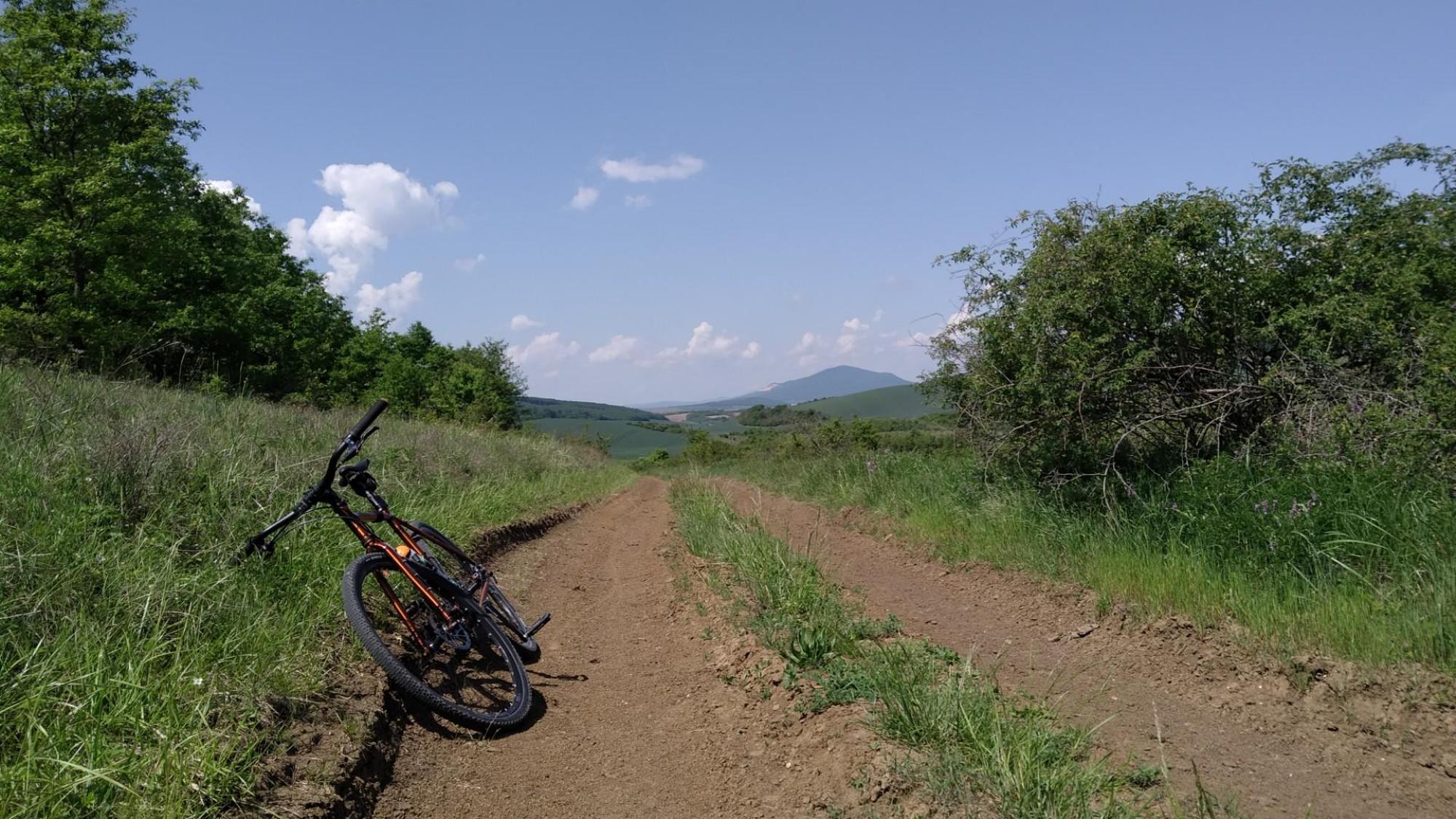 6637686a76462e74cdd016f6.jpg?width=2000&