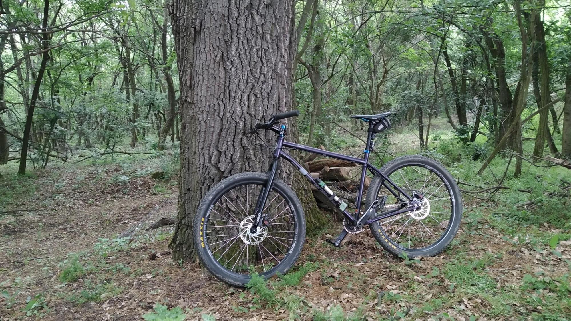 663f9b478456085e06f3e5a7.jpg?width=2000&