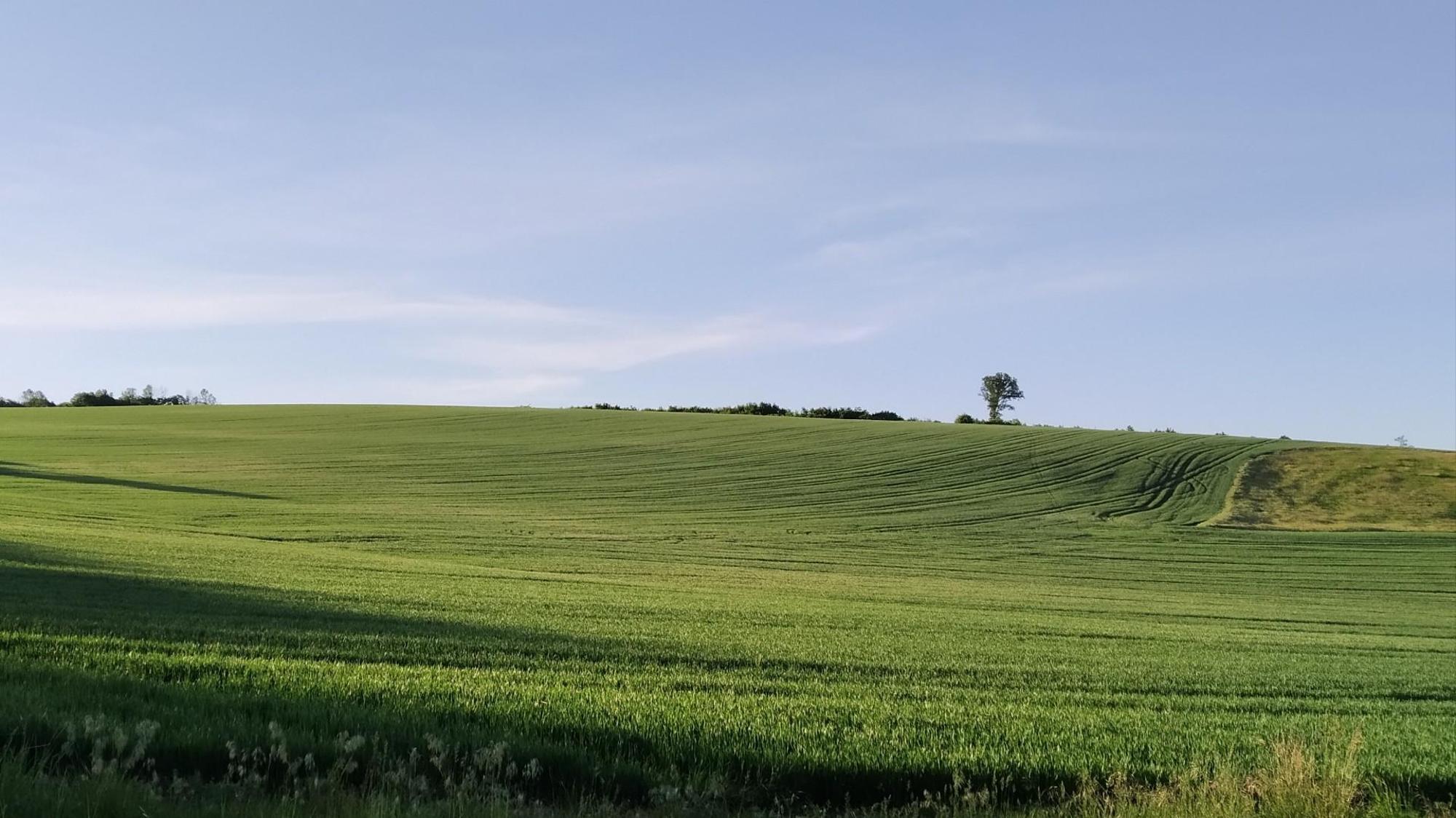 66424ebca0b5c554c9f402c1.jpg?width=2000&