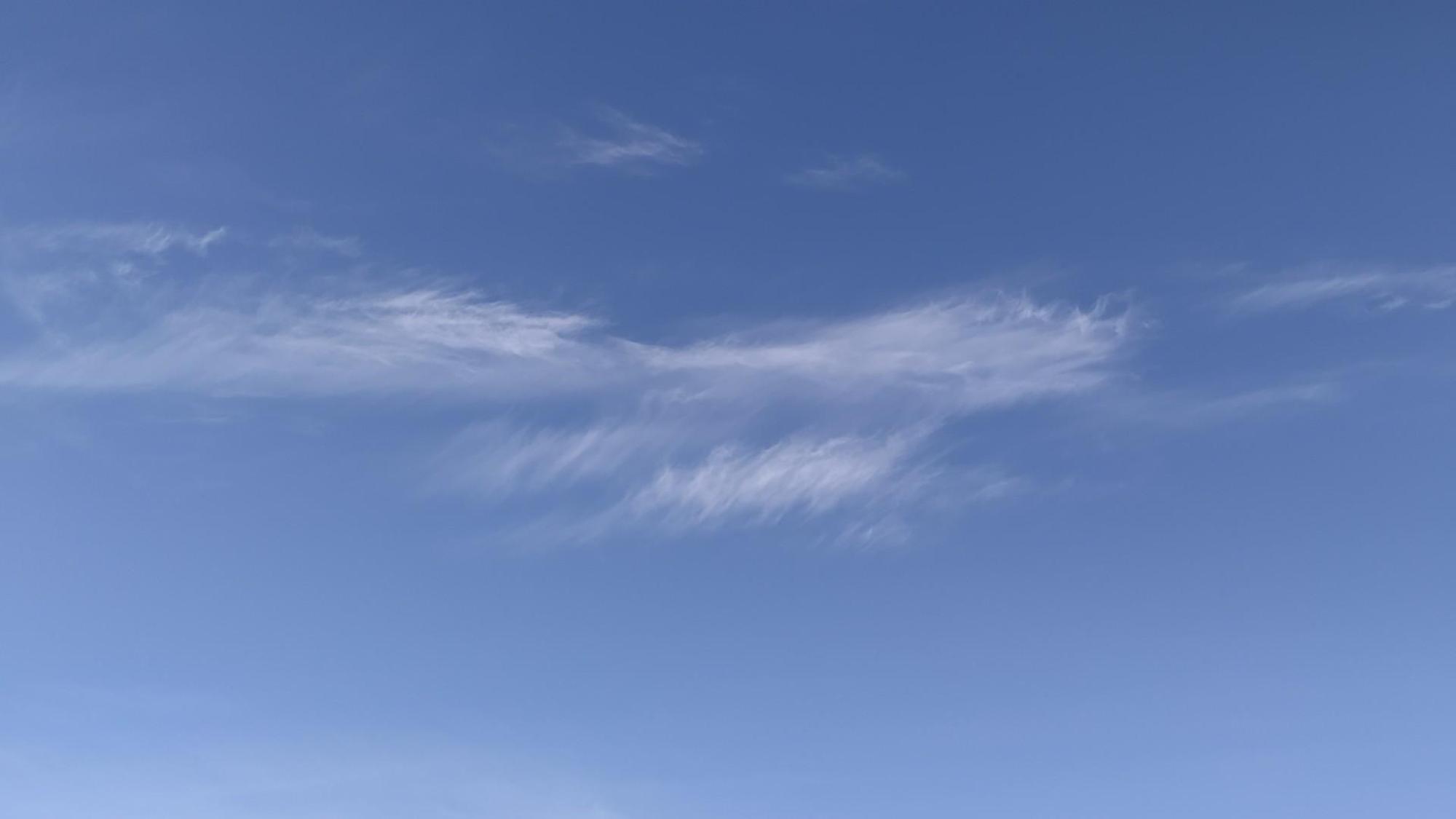 66424ec10efa8e2ceae1058c.jpg?width=2000&