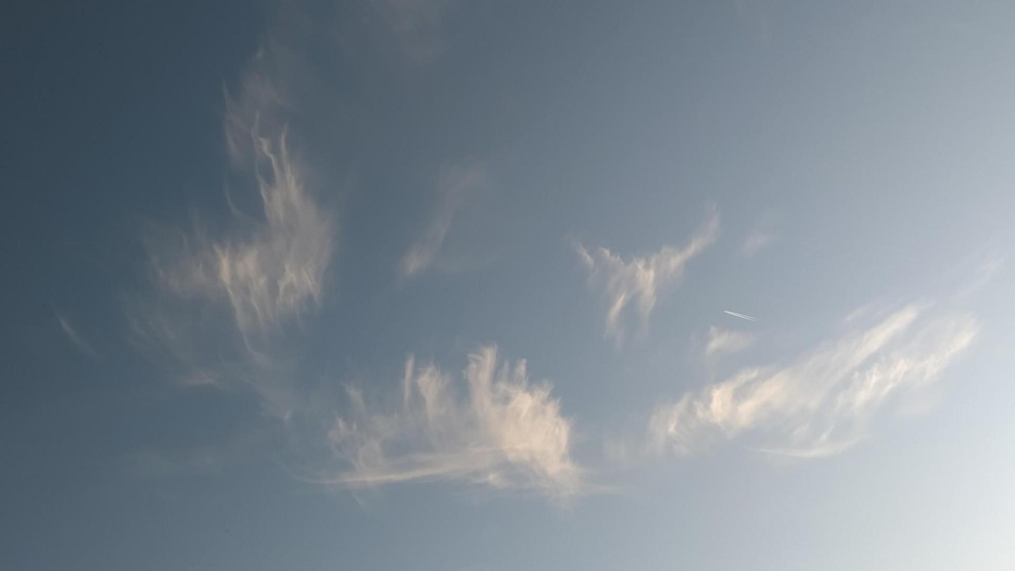 664253c68a63a813b97e6d67.jpg?width=2000&