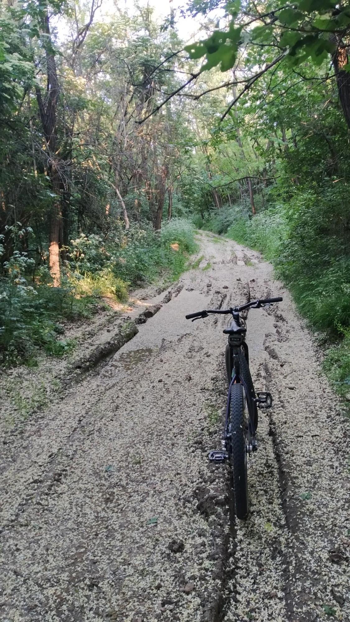 6643a0aa31fdbb46b052cfac.jpg?width=2000&