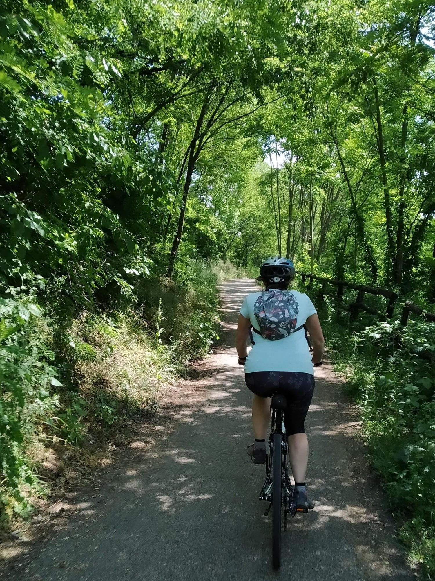 66586ddee394161b4d3f8f81.jpg?width=2000&