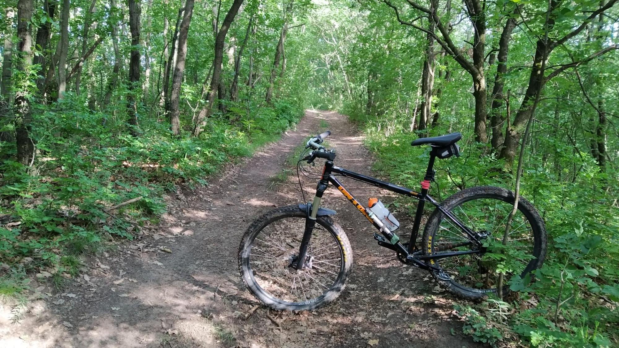 6665da5574e20240e02873fb.jpg?width=2000&