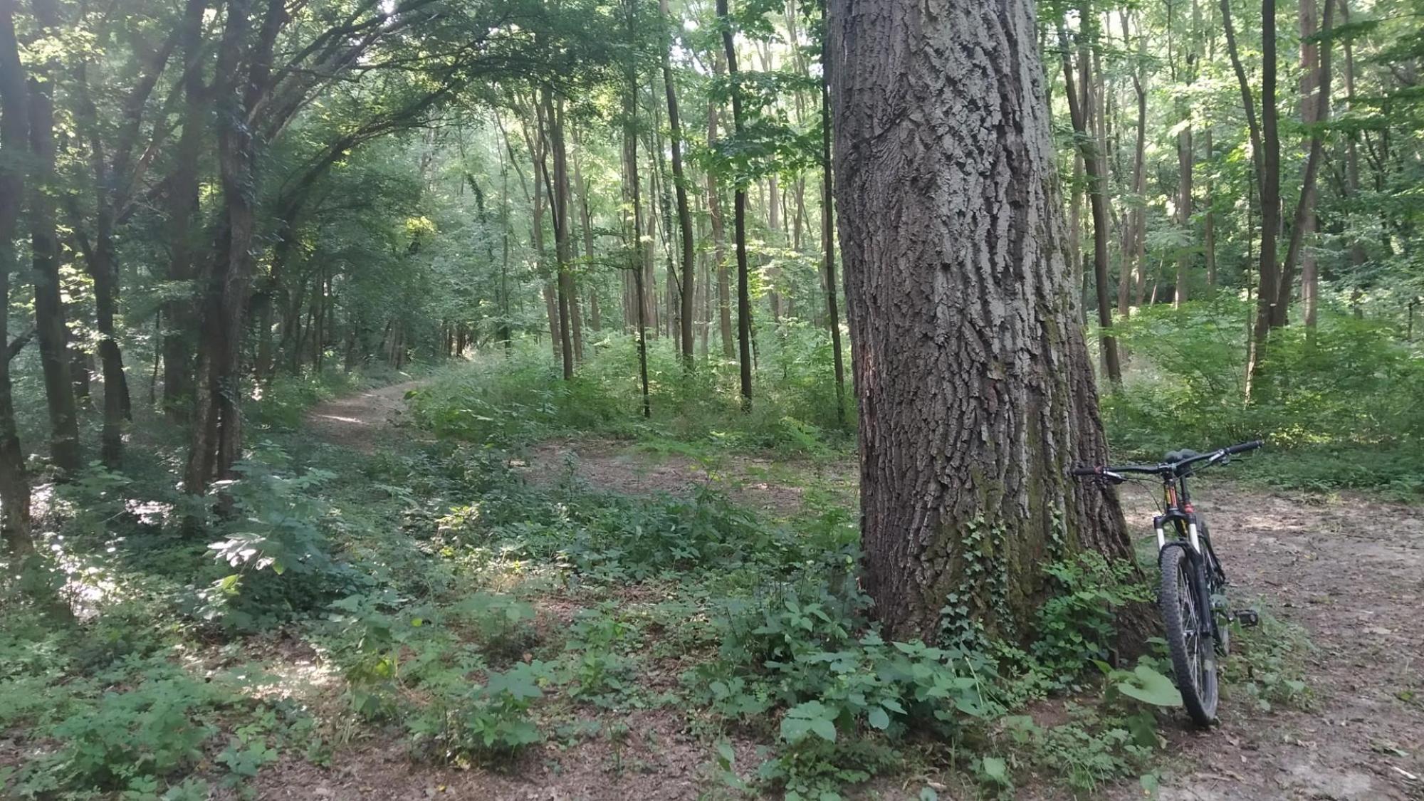 66897a6a11d5a870d2a0855c.jpg?width=2000&