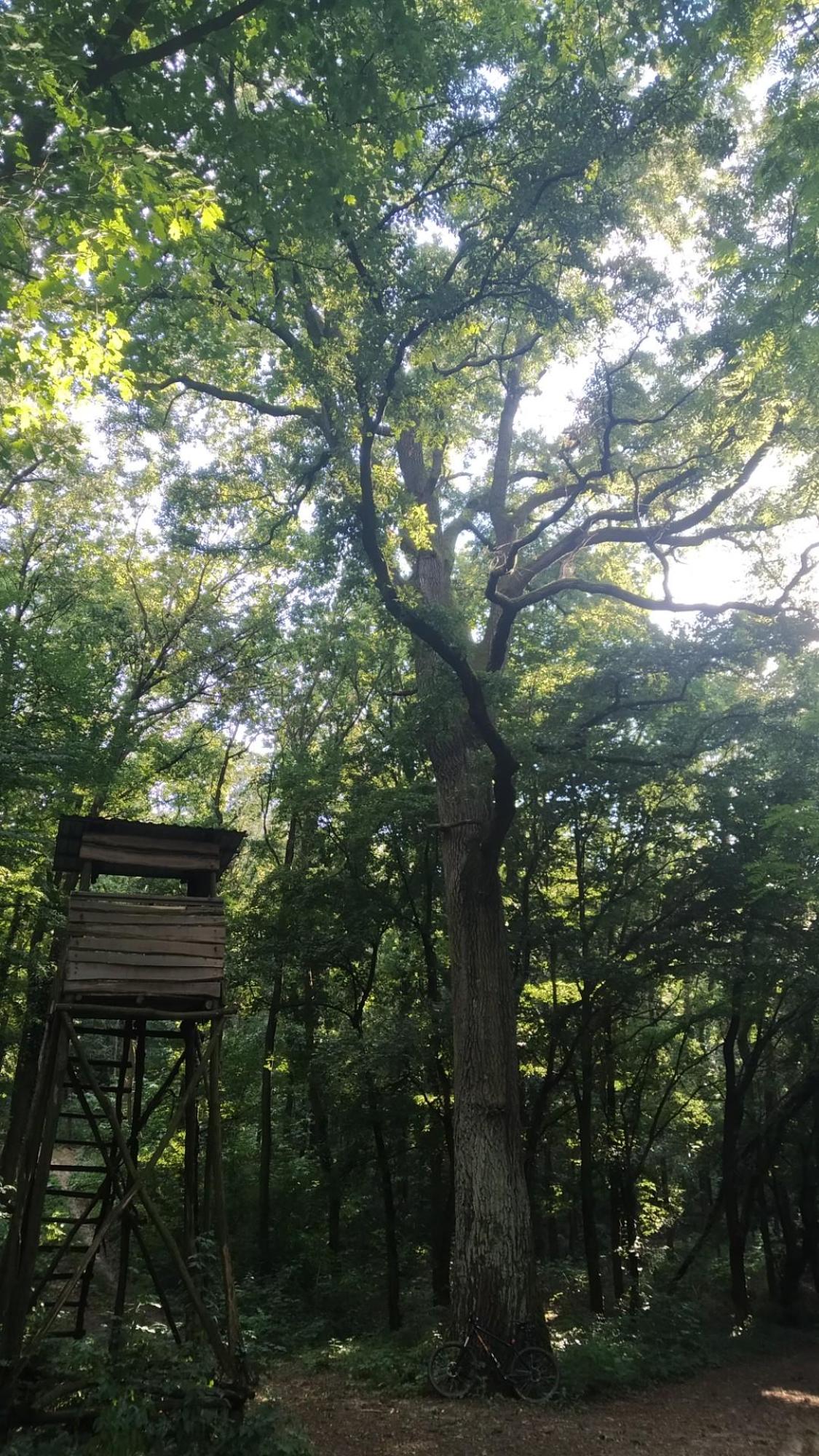 66897a6b11d5a870d2a0856a.jpg?width=2000&