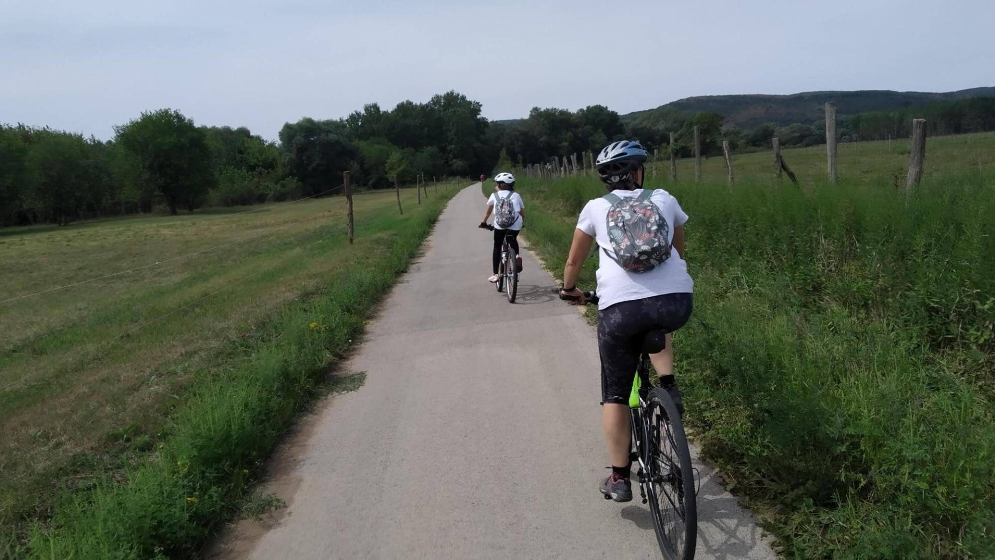 66c7475e99ca9174393f8a43.jpg?width=2000&