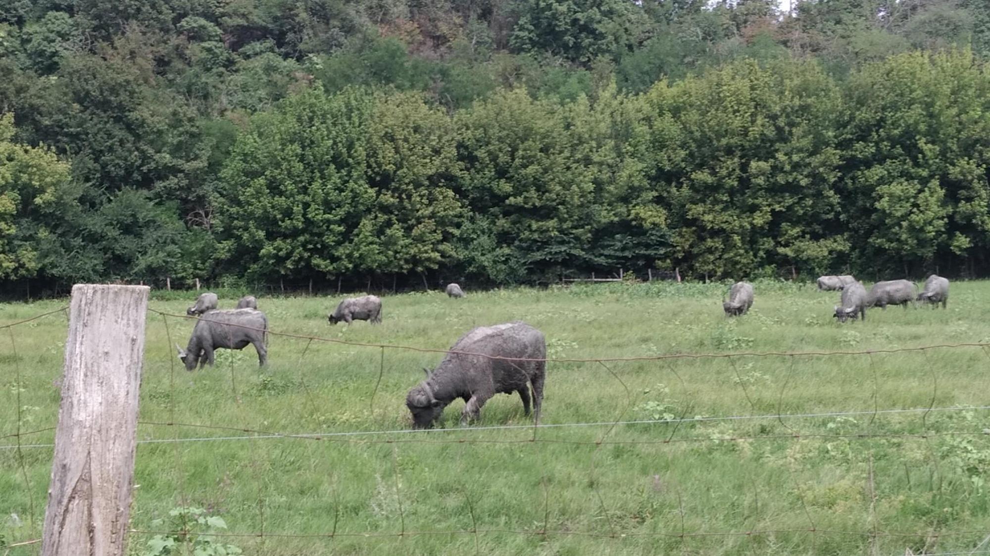 66c74779fcd1a20b81d49b82.jpg?width=2000&