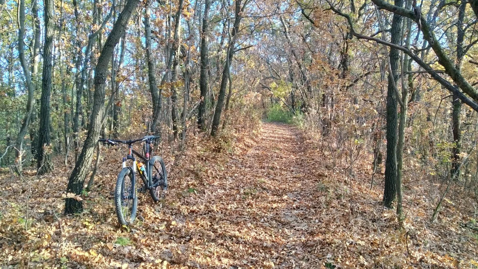 67224e93e66fd843a63f4a37.jpg?width=2000&