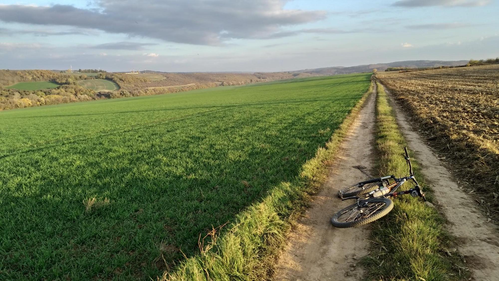 67224e9b40791a36decea82d.jpg?width=2000&