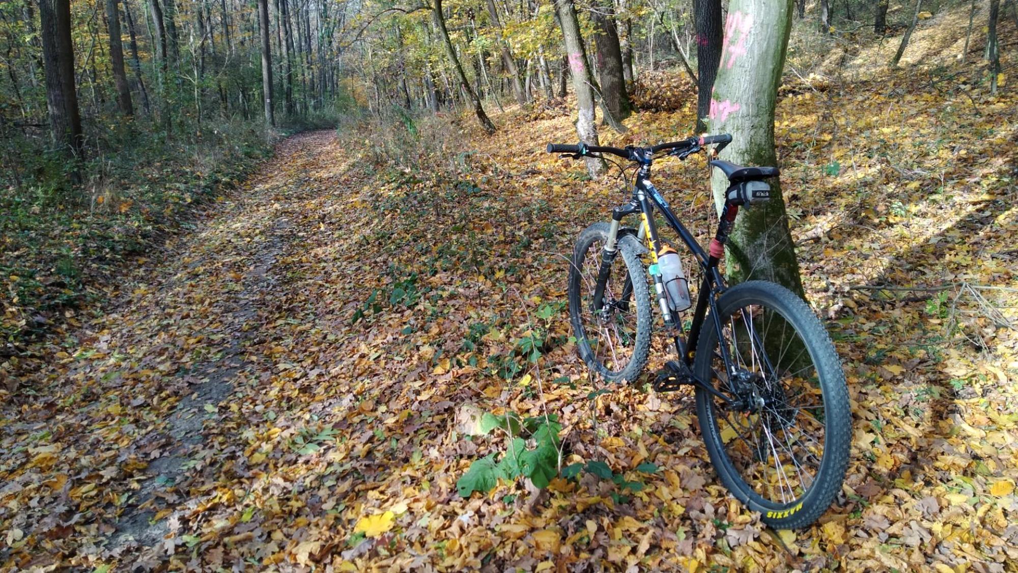 672773fba33f5d63fd91412d.jpg?width=2000&