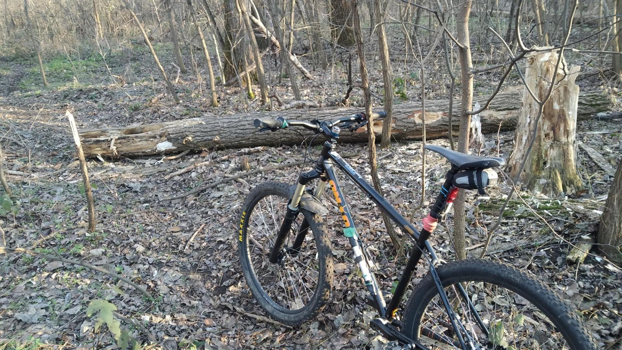 6762e02de38263302ca10583.jpg?width=2000&