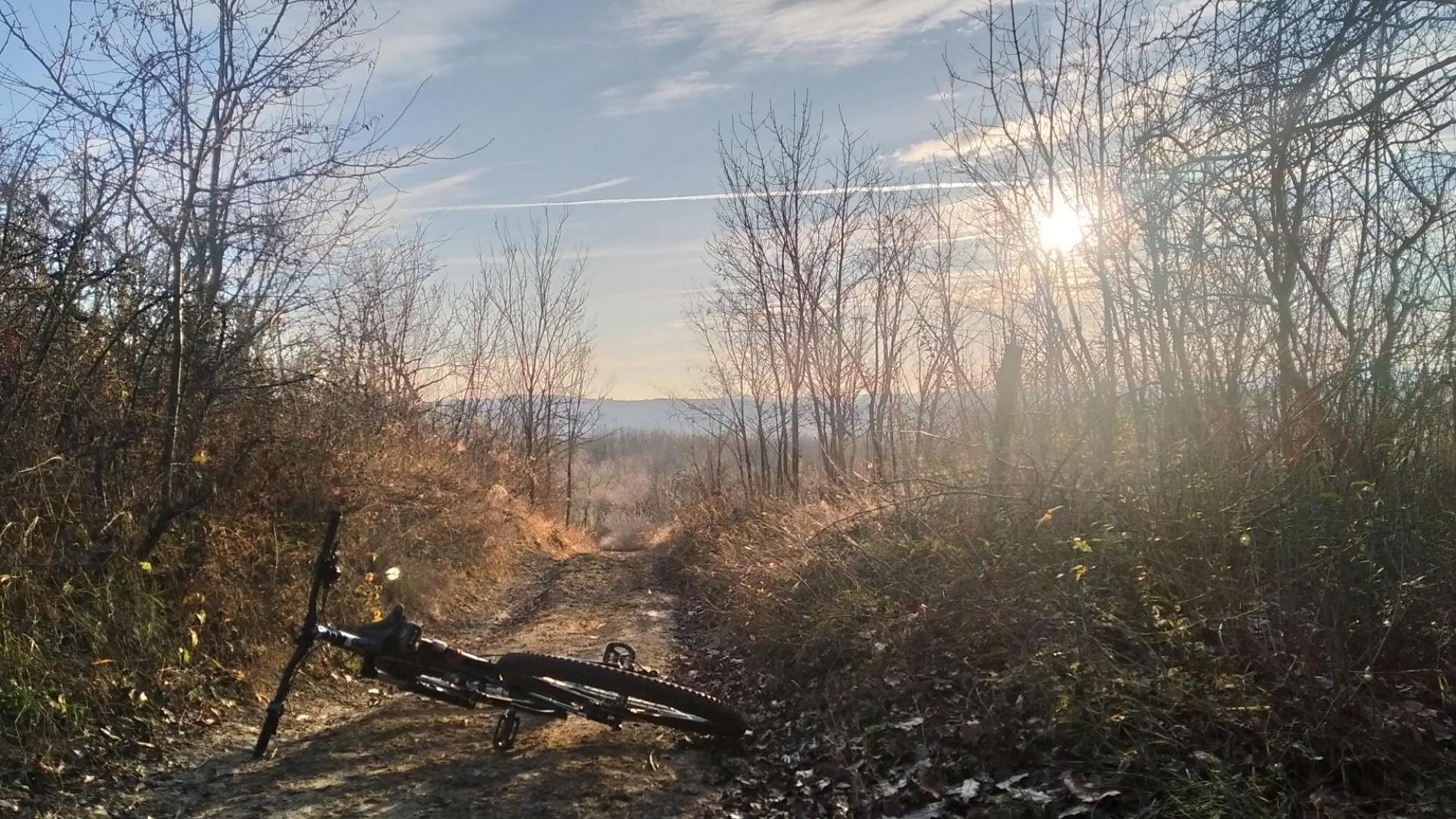 6762e033e38263302ca10594.jpg?width=2000&