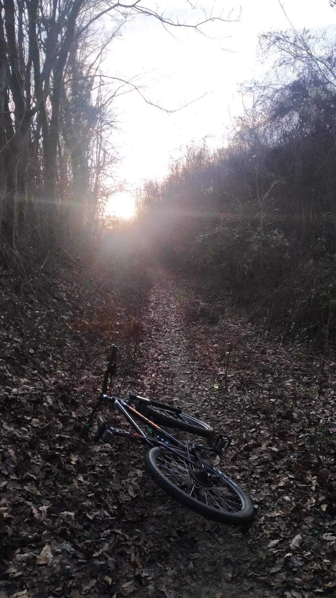 6762e03be38263302ca105c8.jpg?width=2000&