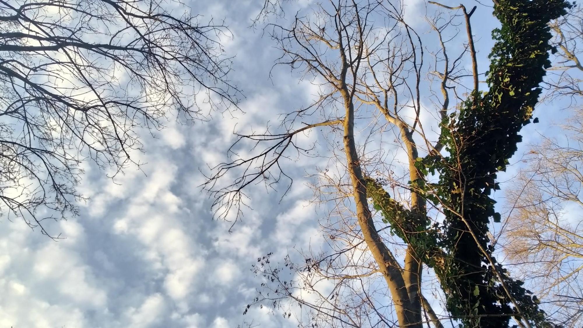 6762e03ee38263302ca105d8.jpg?width=2000&