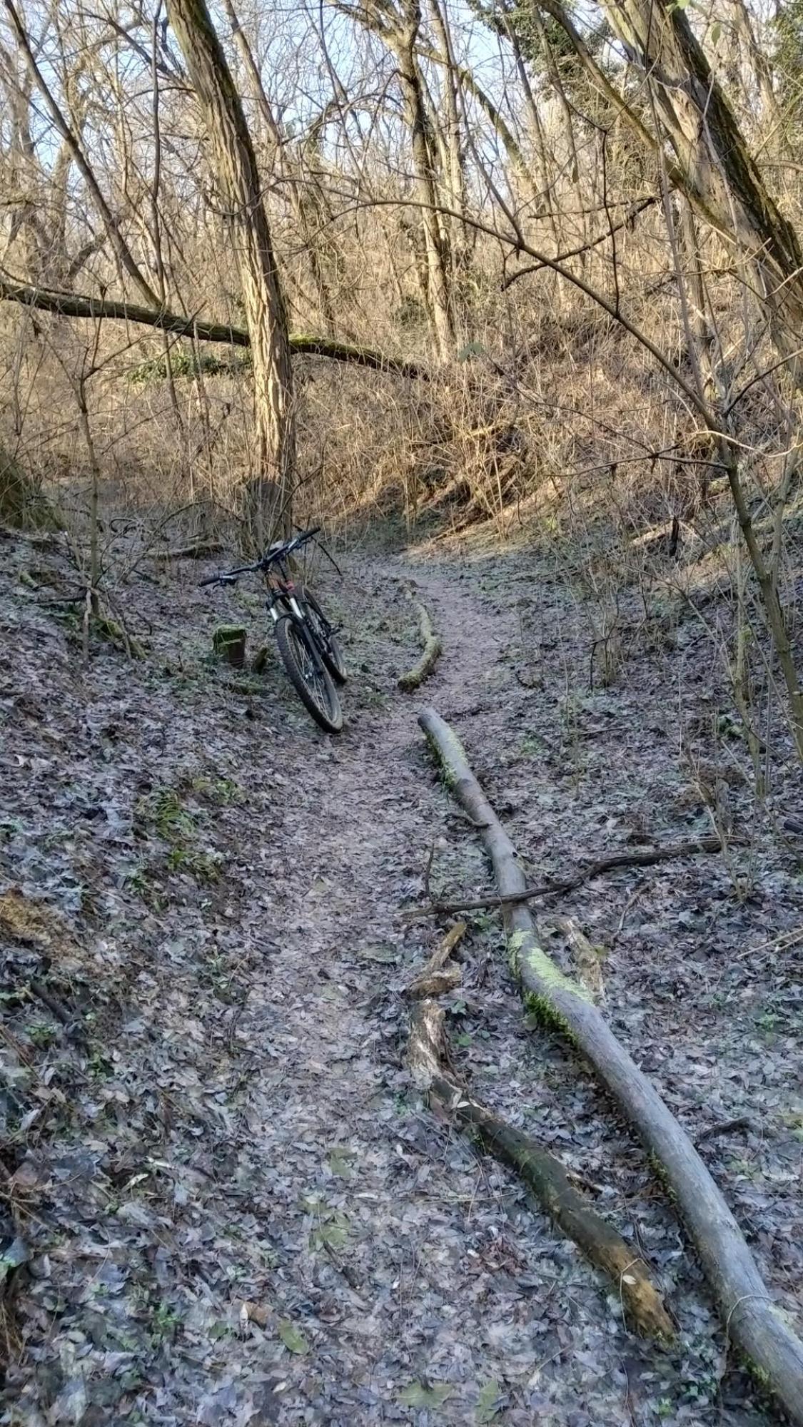 676d5063429a626ef11ef4da.jpg?width=2000&