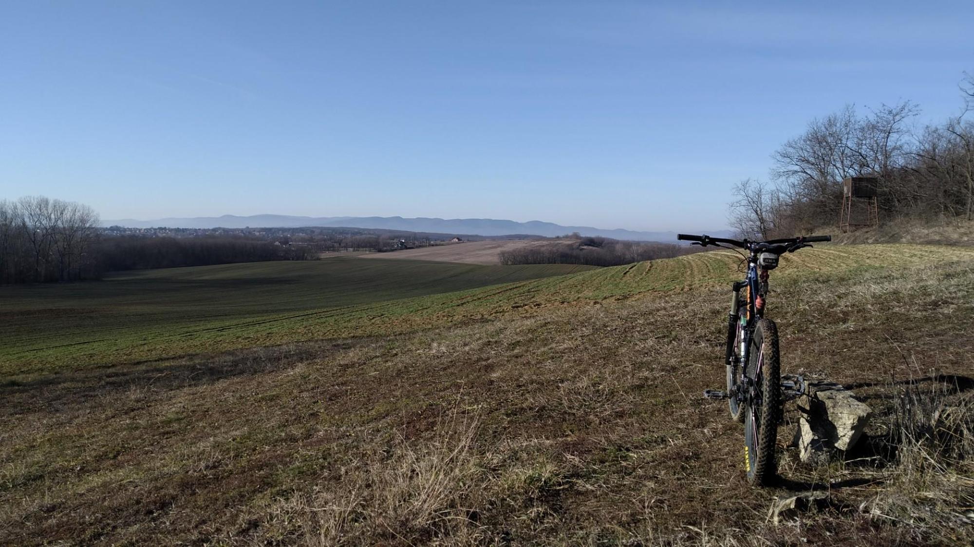 676d5065b3ede55a6688f5dc.jpg?width=2000&