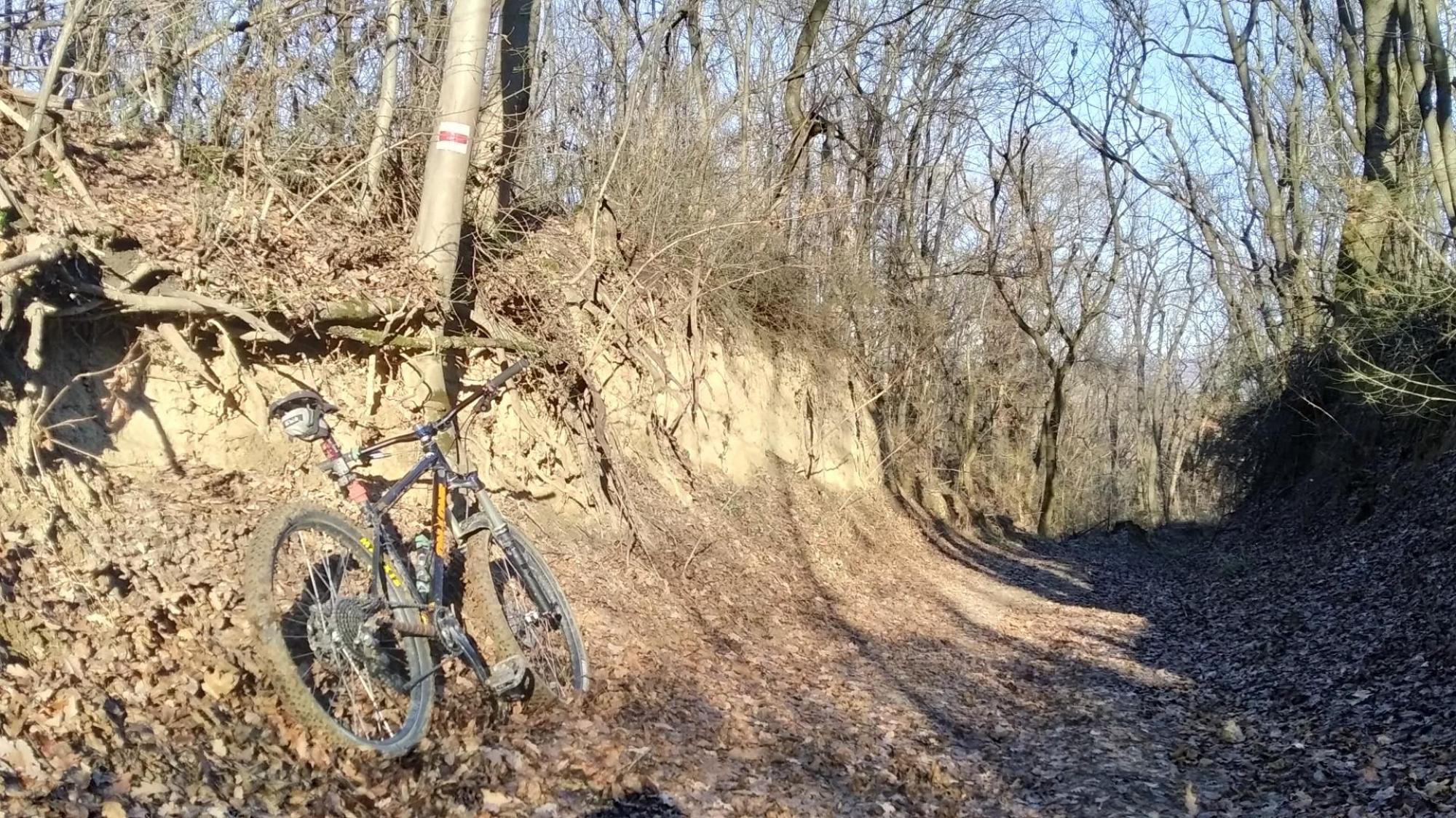 676d506bb3ede55a6688f63d.jpg?width=2000&