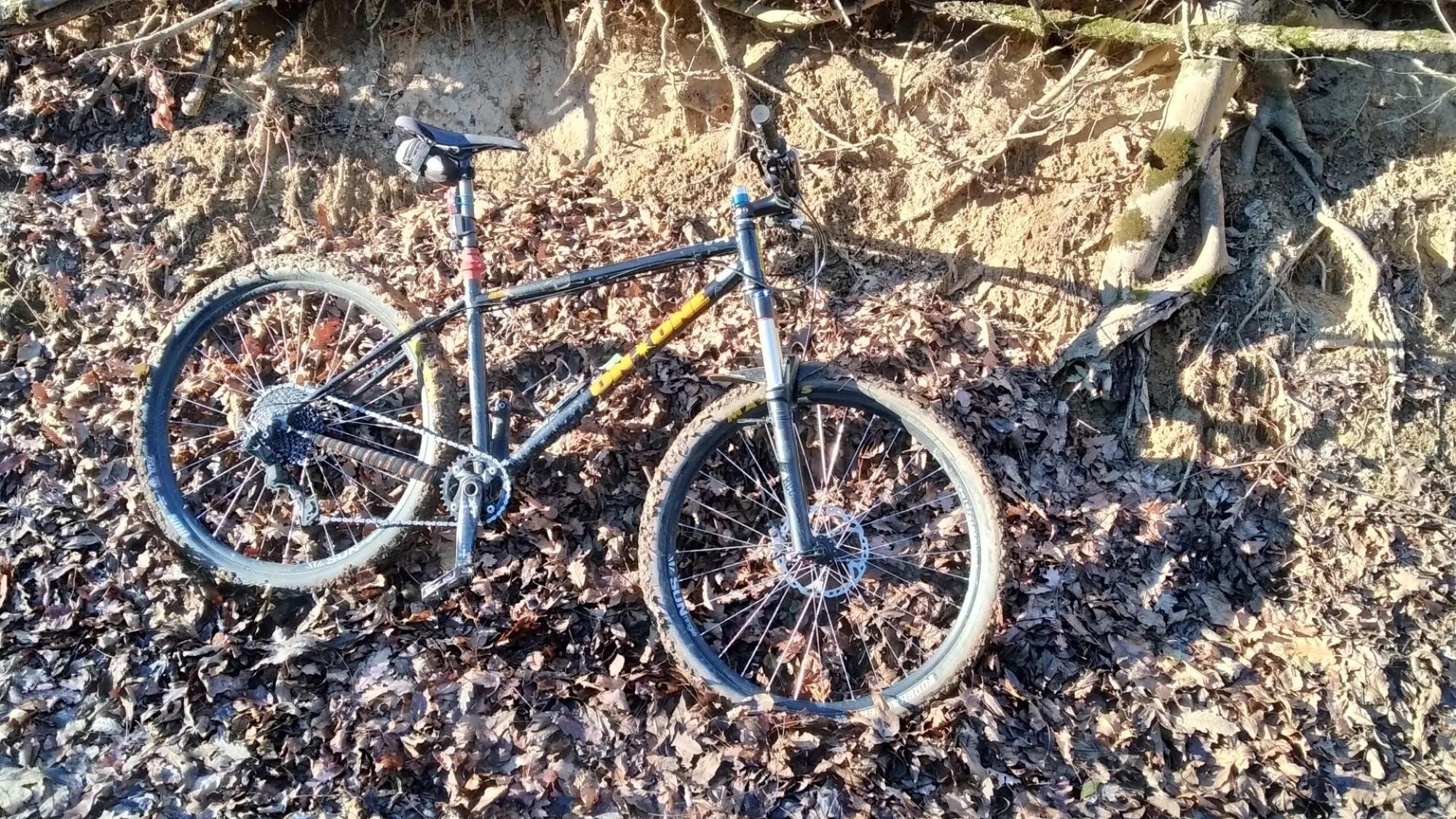 676d507024ba0b664e7b341d.jpg?width=2000&