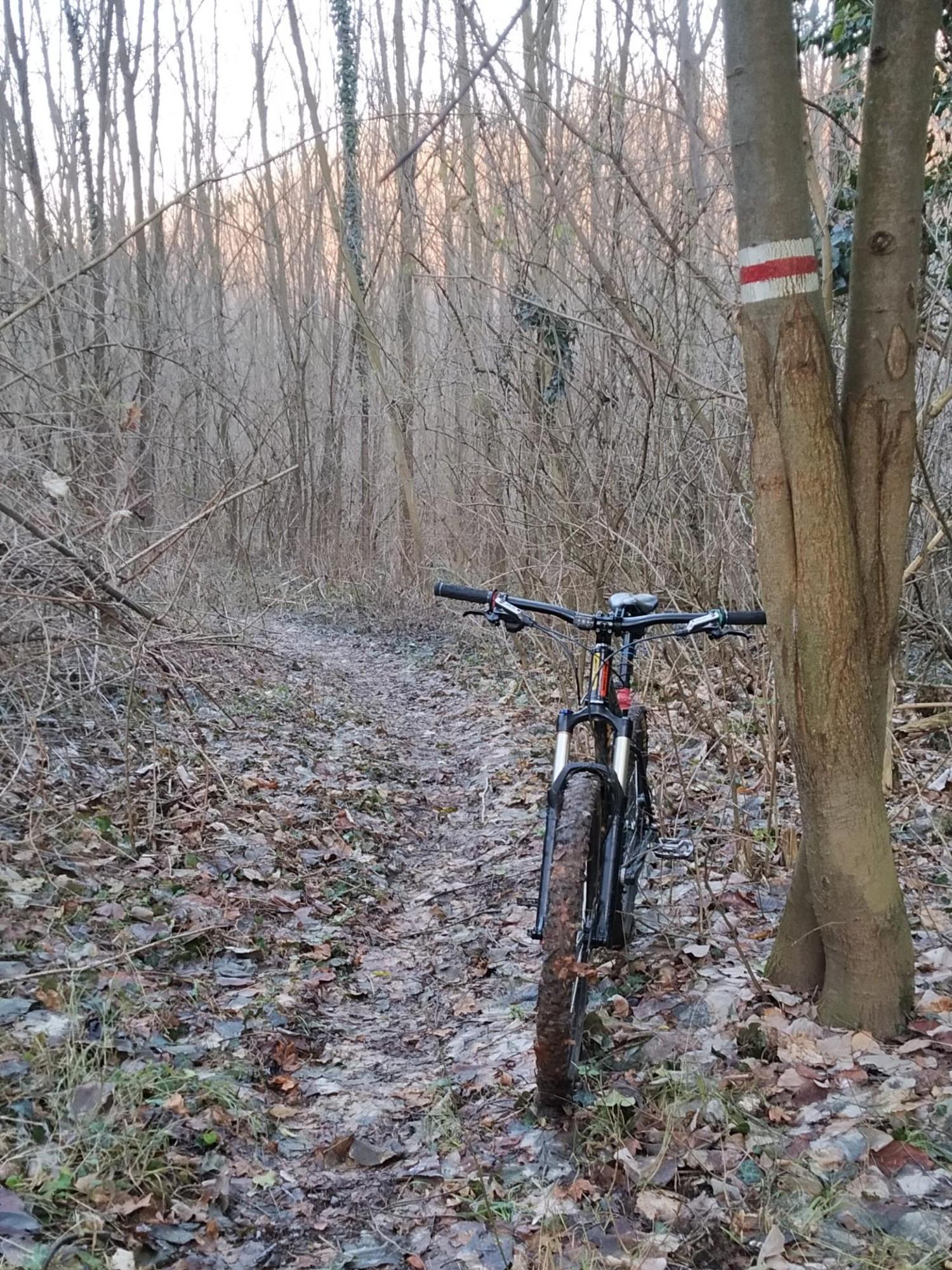 6770193adedffd15a9635b21.jpg?width=2000&