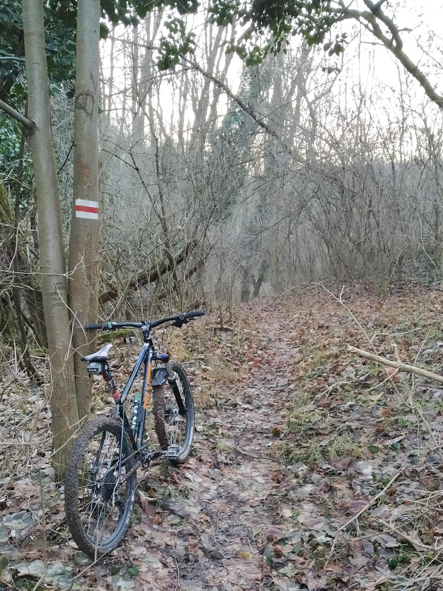 6770193b171fc0338767327a.jpg?width=2000&