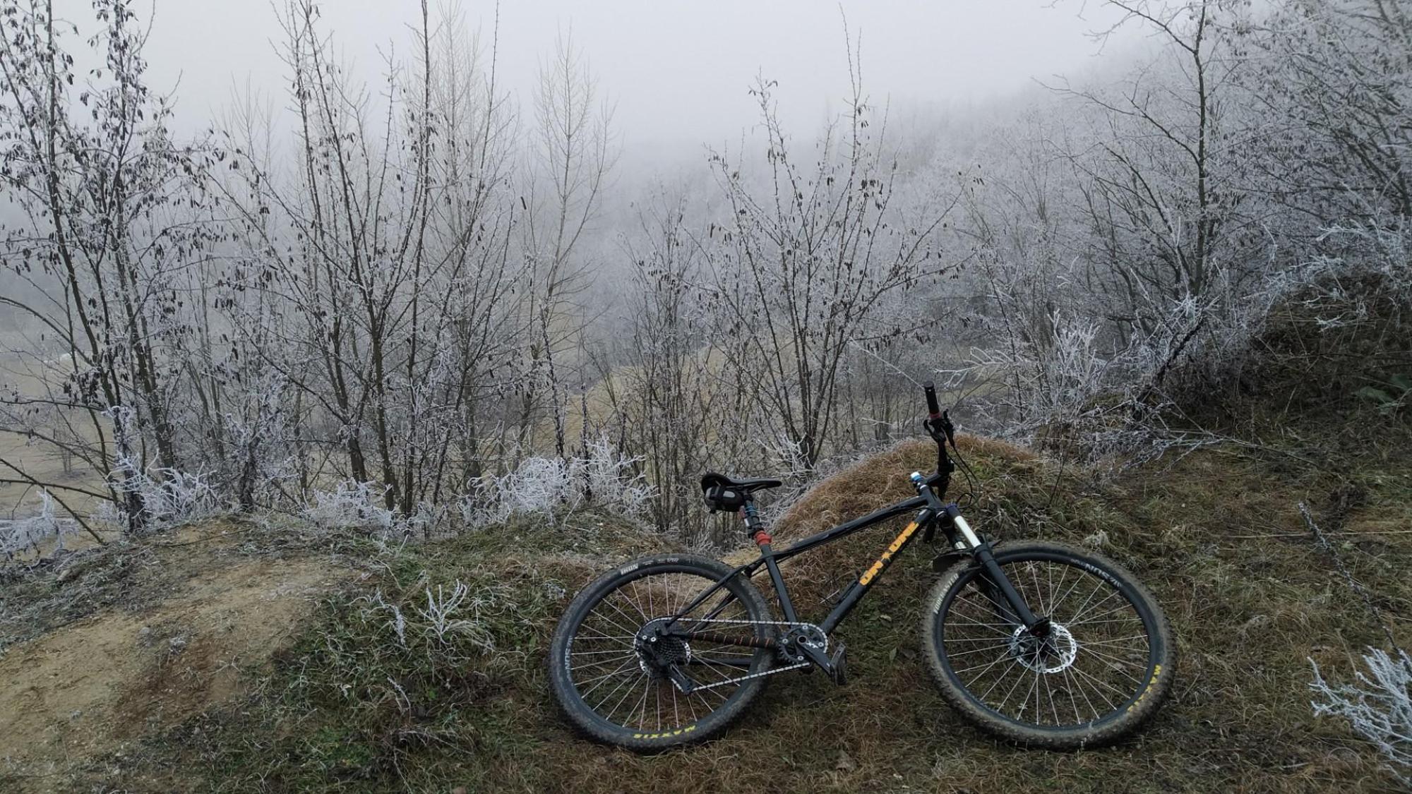 6773f7baadbfb261a417cfe4.jpg?width=2000&