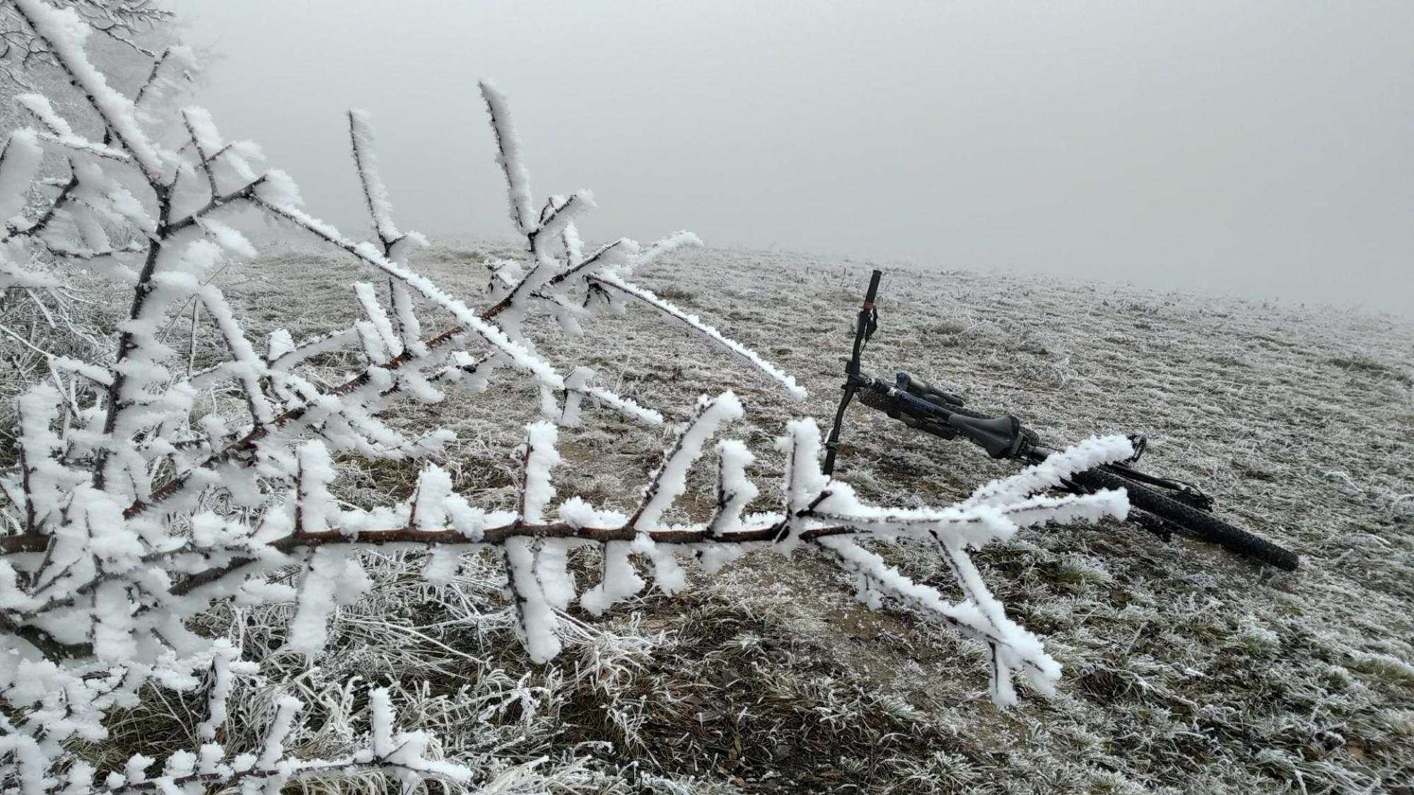 6773f7d8d1813f7520249ad2.jpg?width=2000&