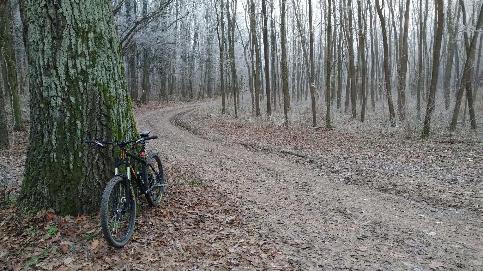 6773f7e1cc040417838227f7.jpg?width=2000&