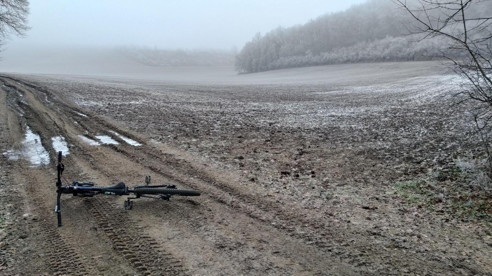 6773f9d1c5657e2495175f95.jpg?width=2000&